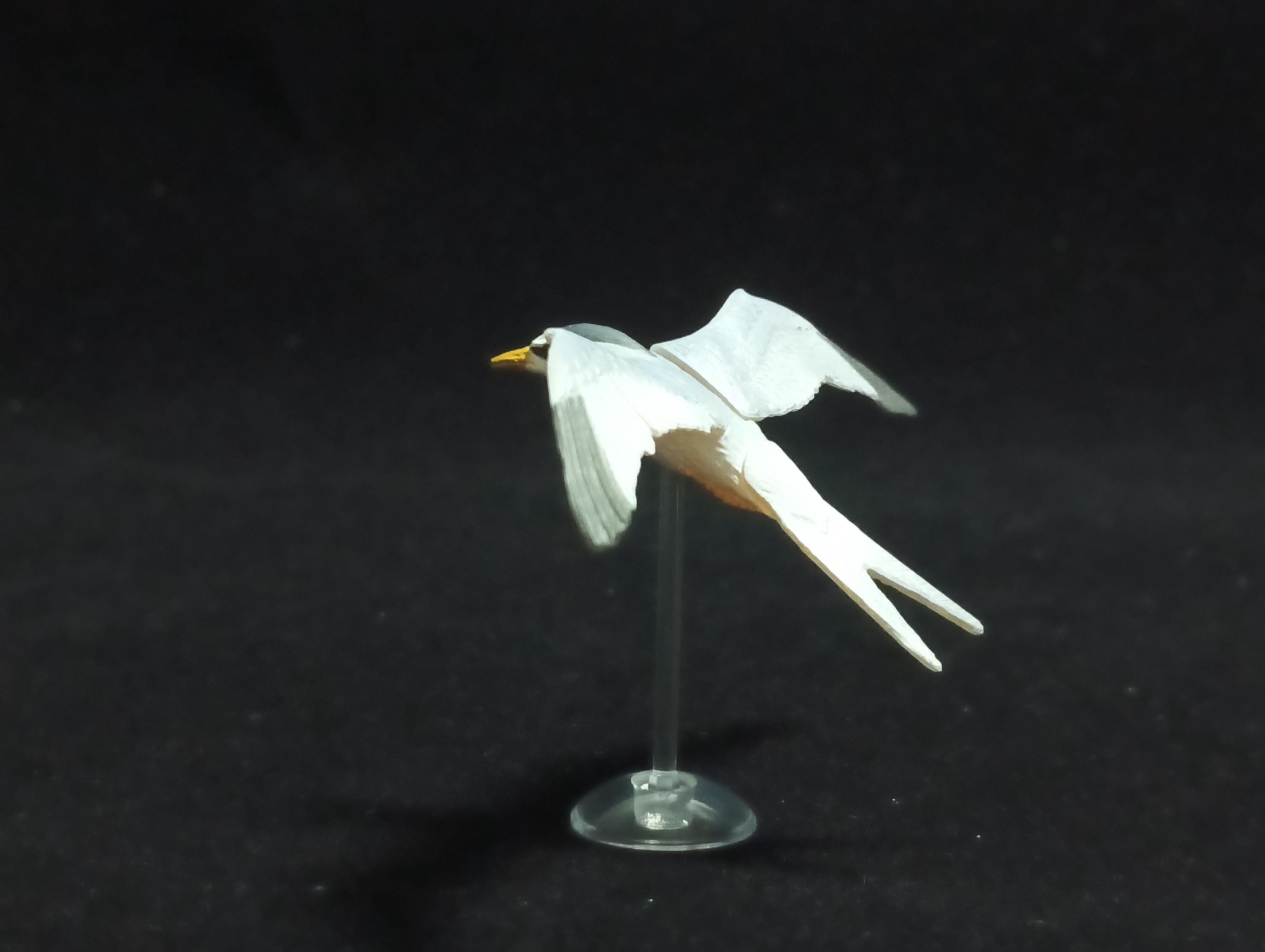 Miniature Little Tern (Sterna stern) Figurine - Kaiyodo