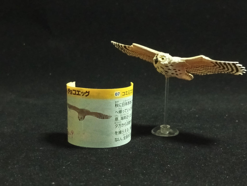 Miniature Short-eared owl Figurine - Kaiyodo