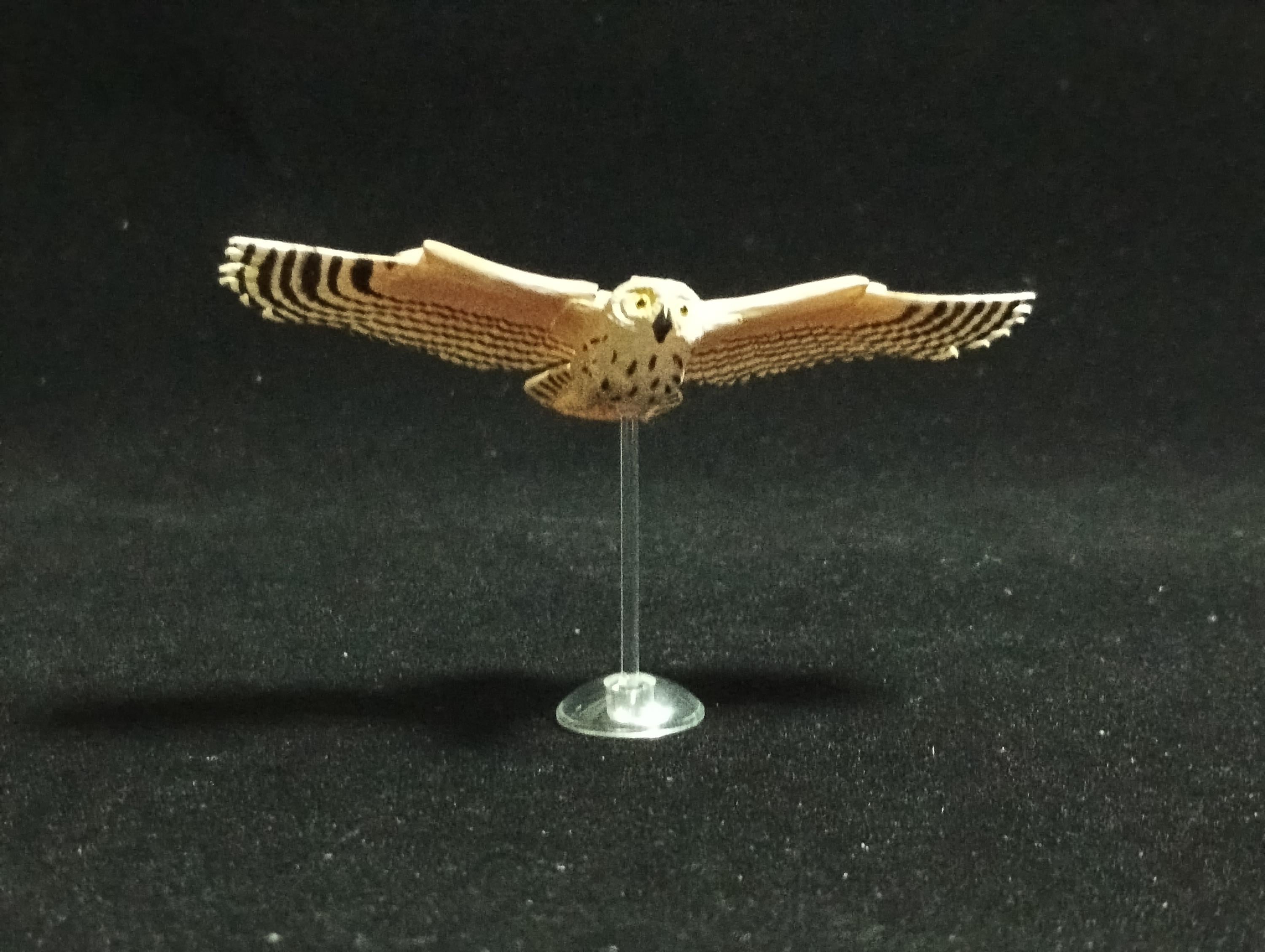 Miniature Short-eared owl Figurine - Kaiyodo