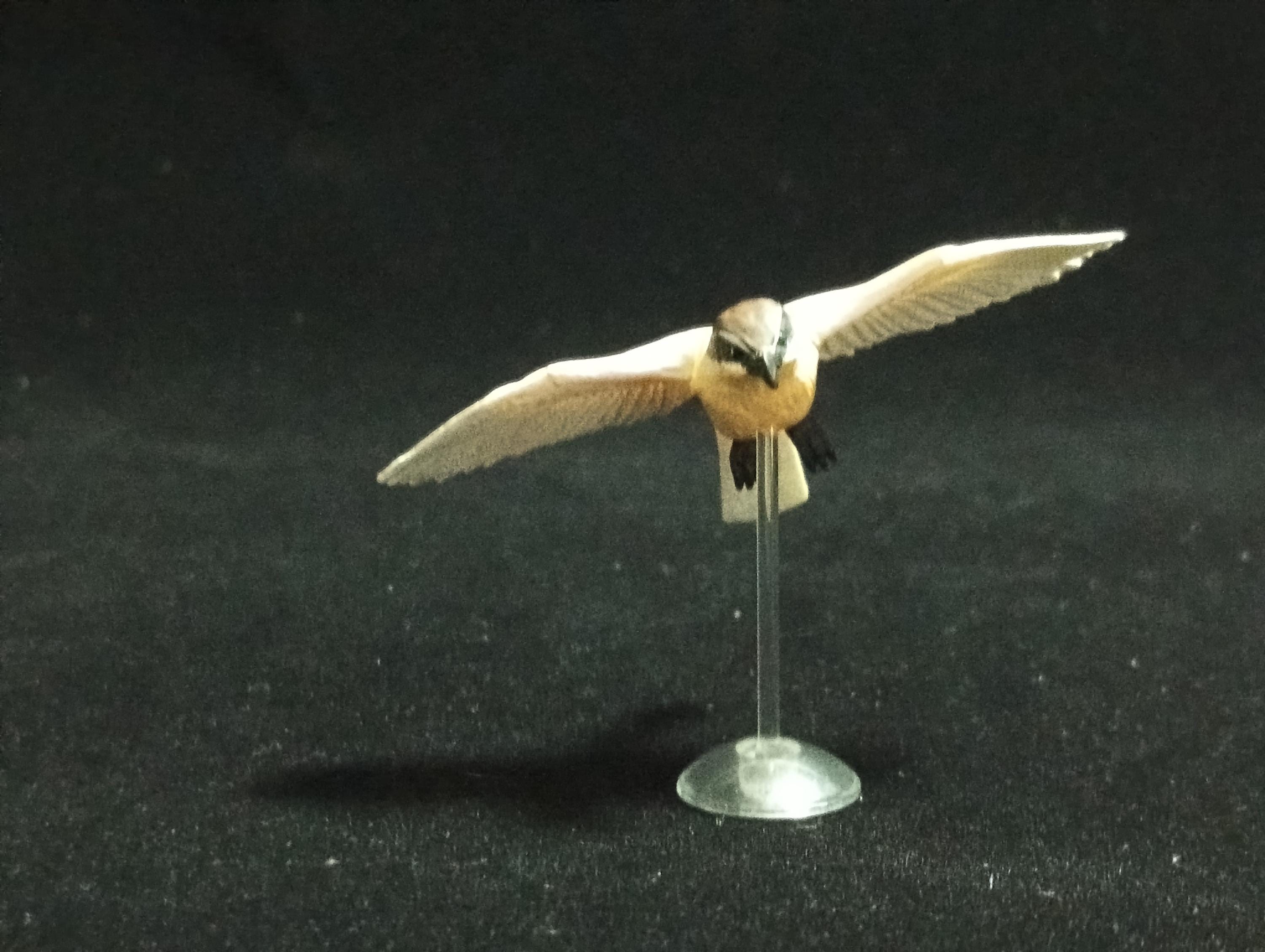 Miniature Shrike Figurine - Kaiyodo