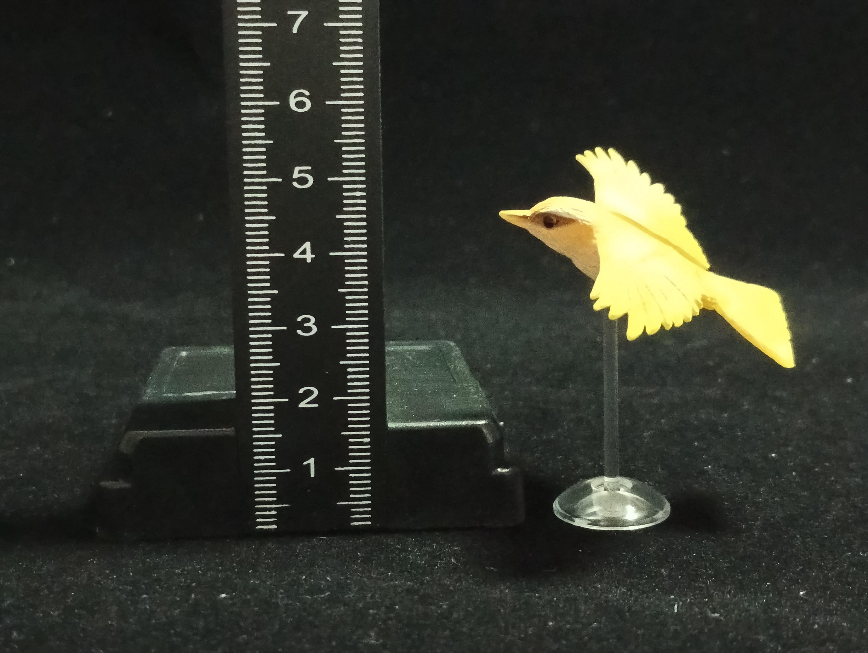 Miniature Japanese bush warbler Figurine - Kaiyodo