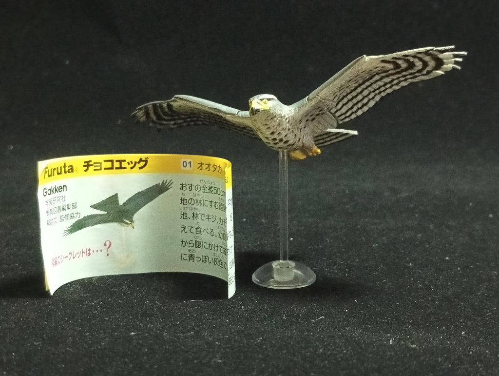Miniature Little Northern Goshawk (Soutaka) Figurine - Kaiyodo