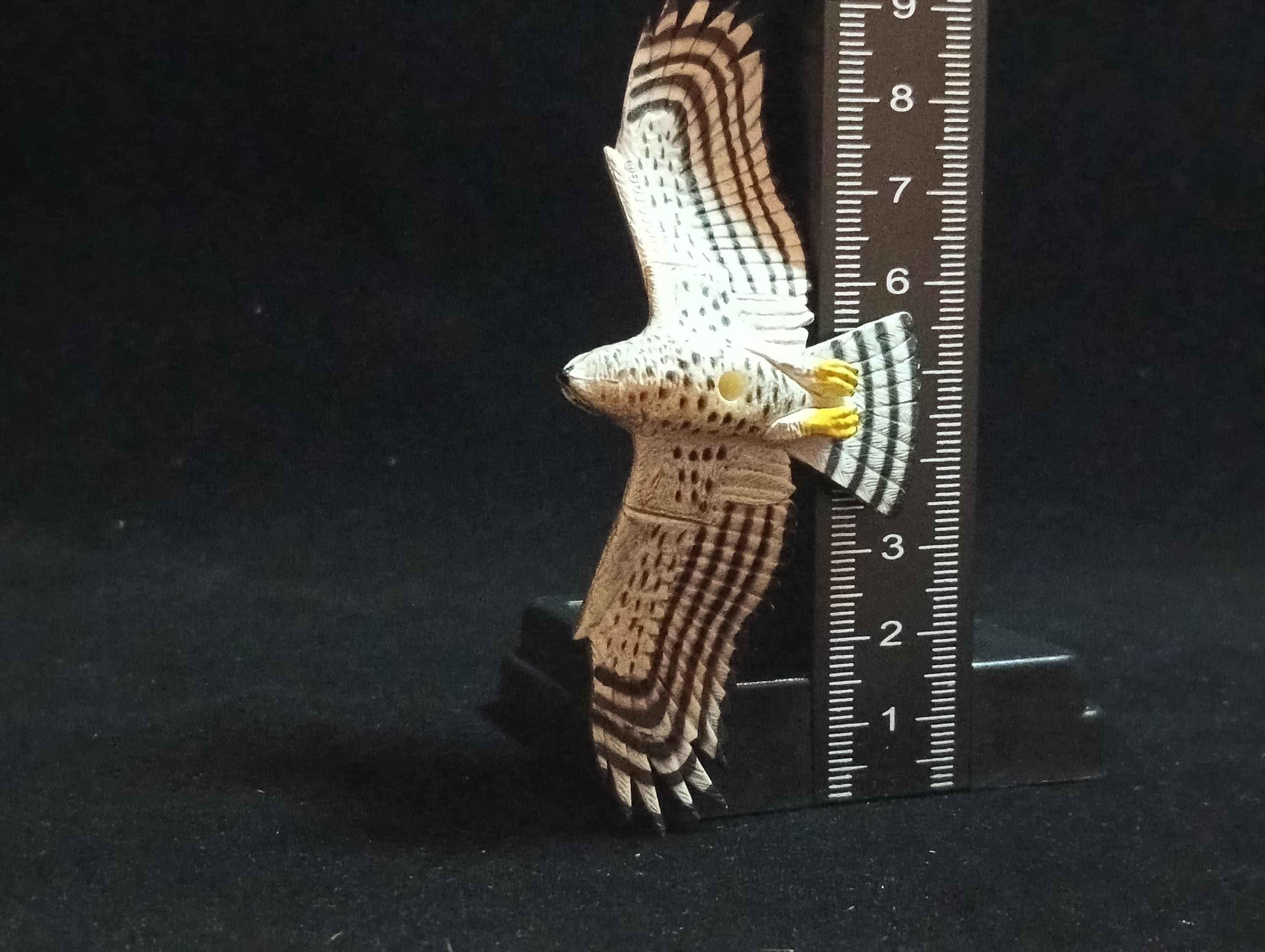 Miniature Little Northern Goshawk (Soutaka) Figurine - Kaiyodo
