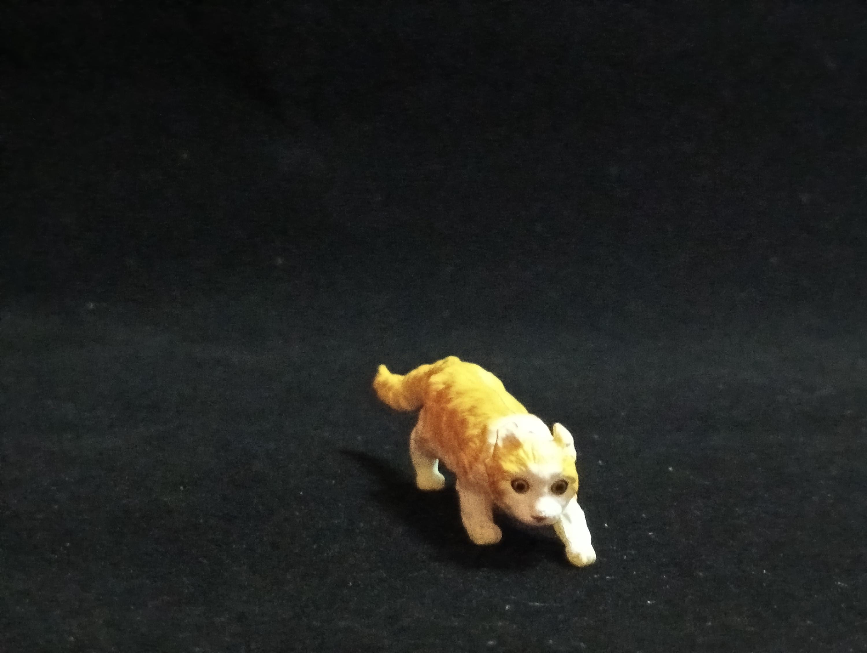 Miniature American Curl (A) Figurine - Furuta