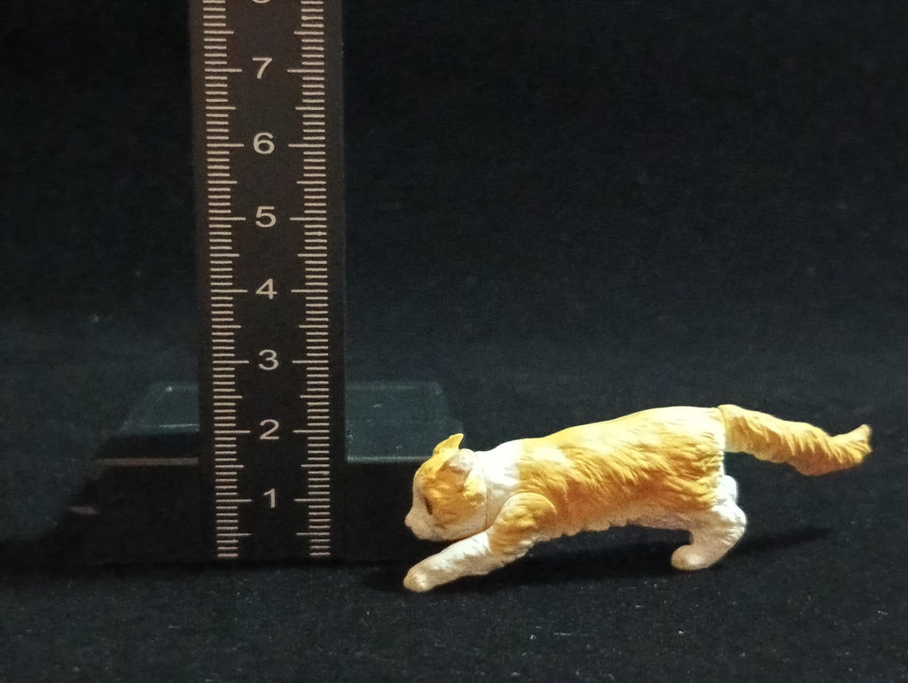 Miniature American Curl (A) Figurine - Furuta