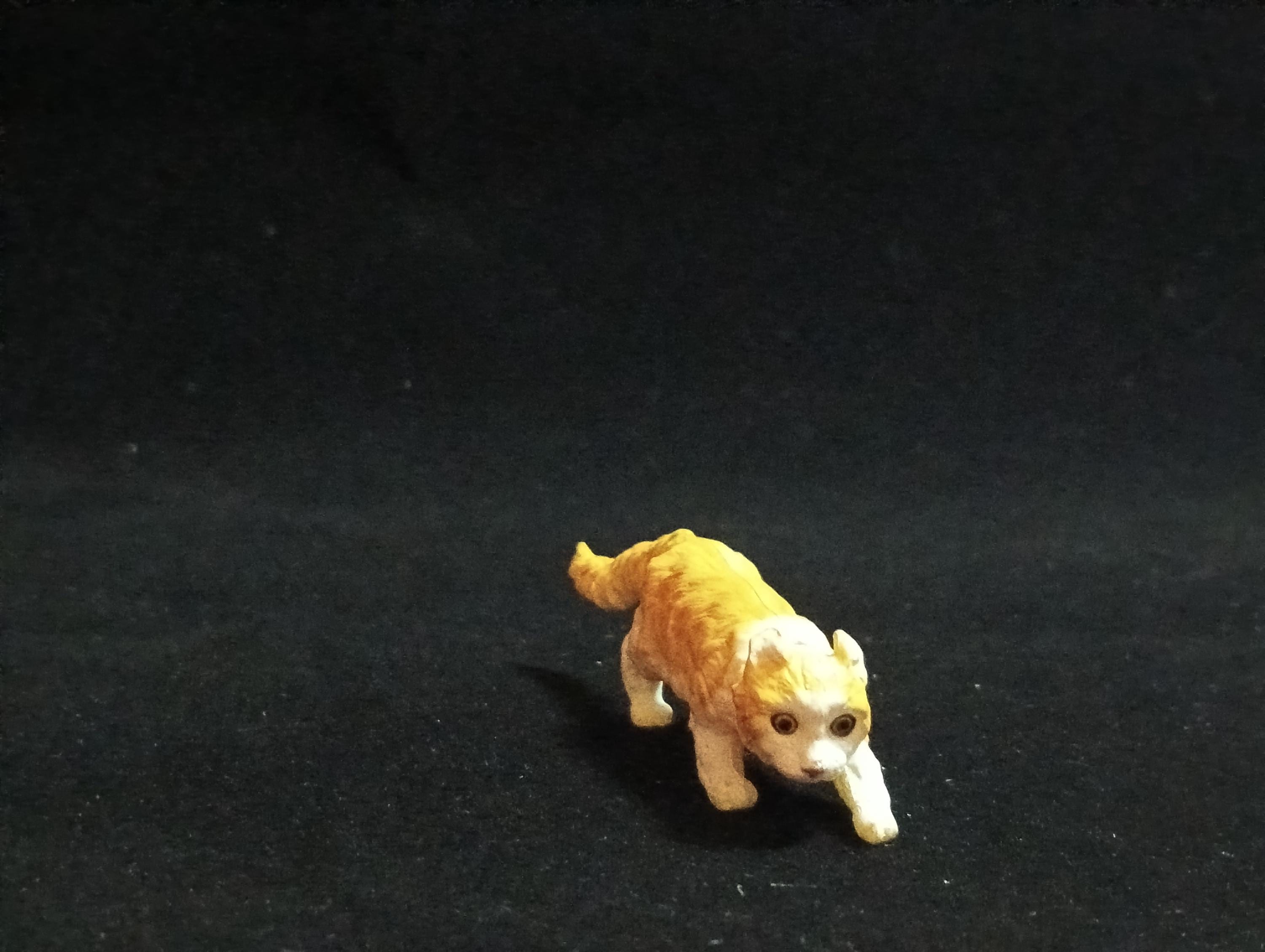 Miniature American Curl (A) Figurine - Furuta