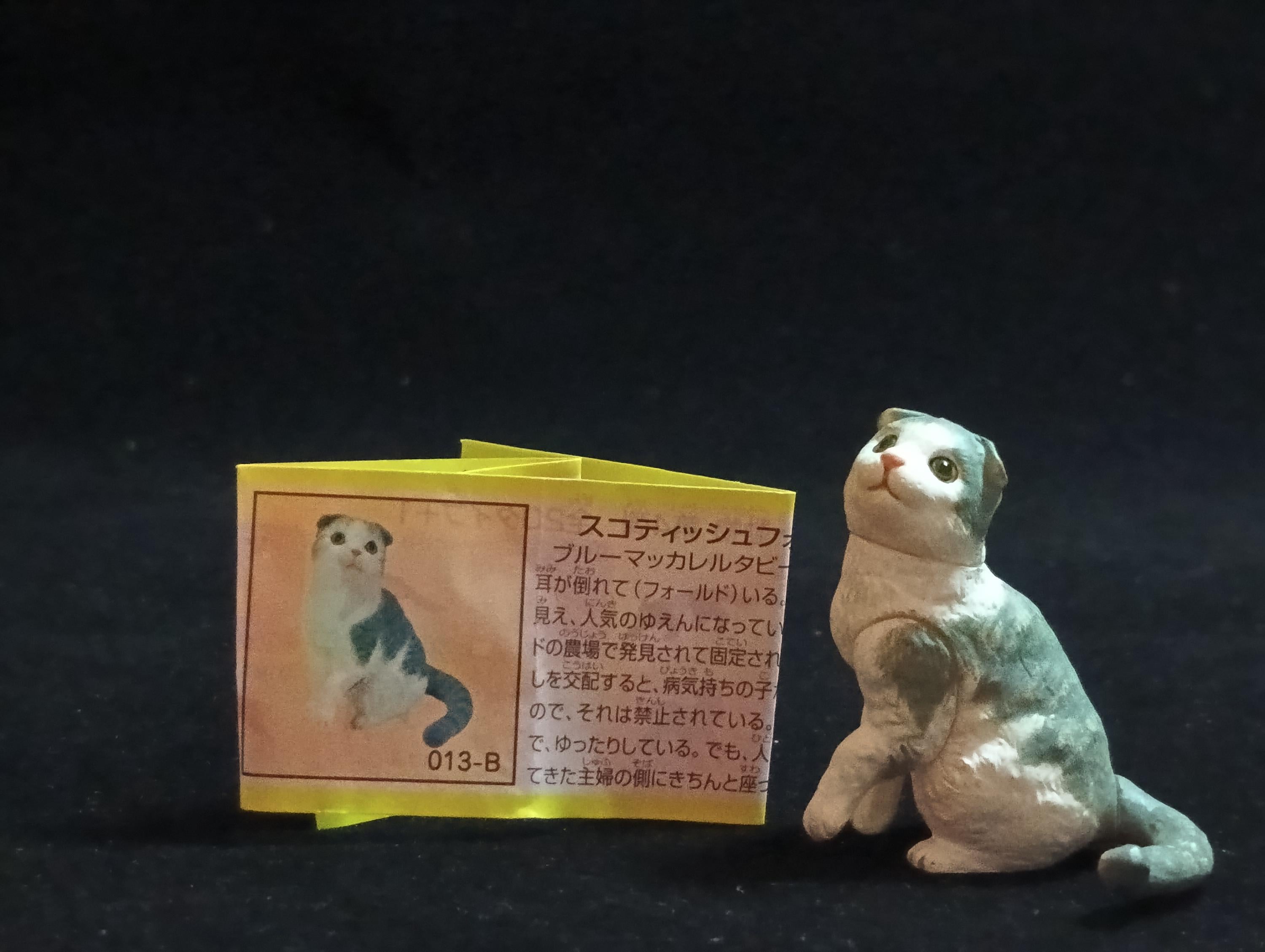 Miniature Scottish Fold Cat(B) Figurine - Furuta