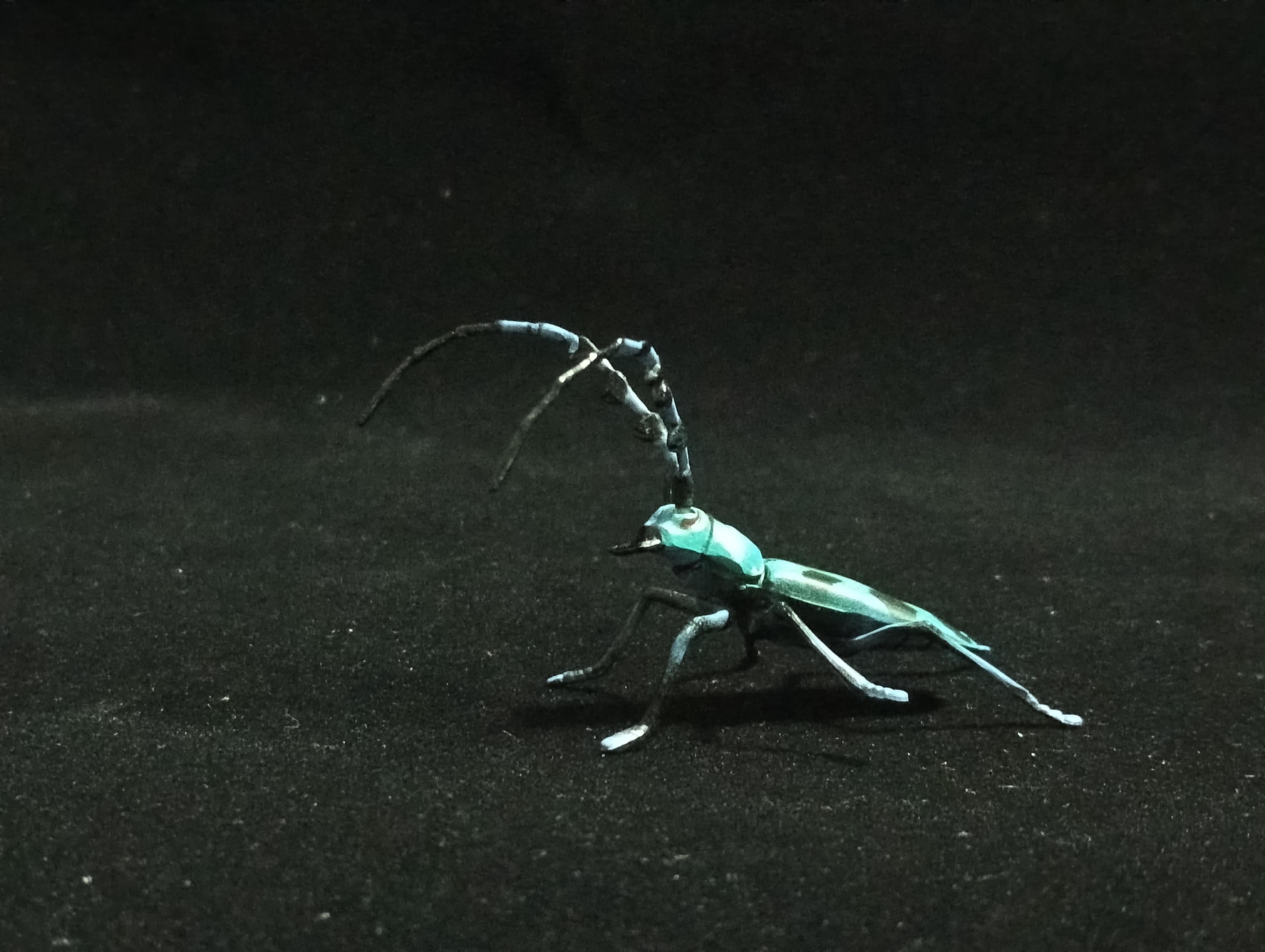Miniature Blue spotted longhorn beetle Figurine - Furuta