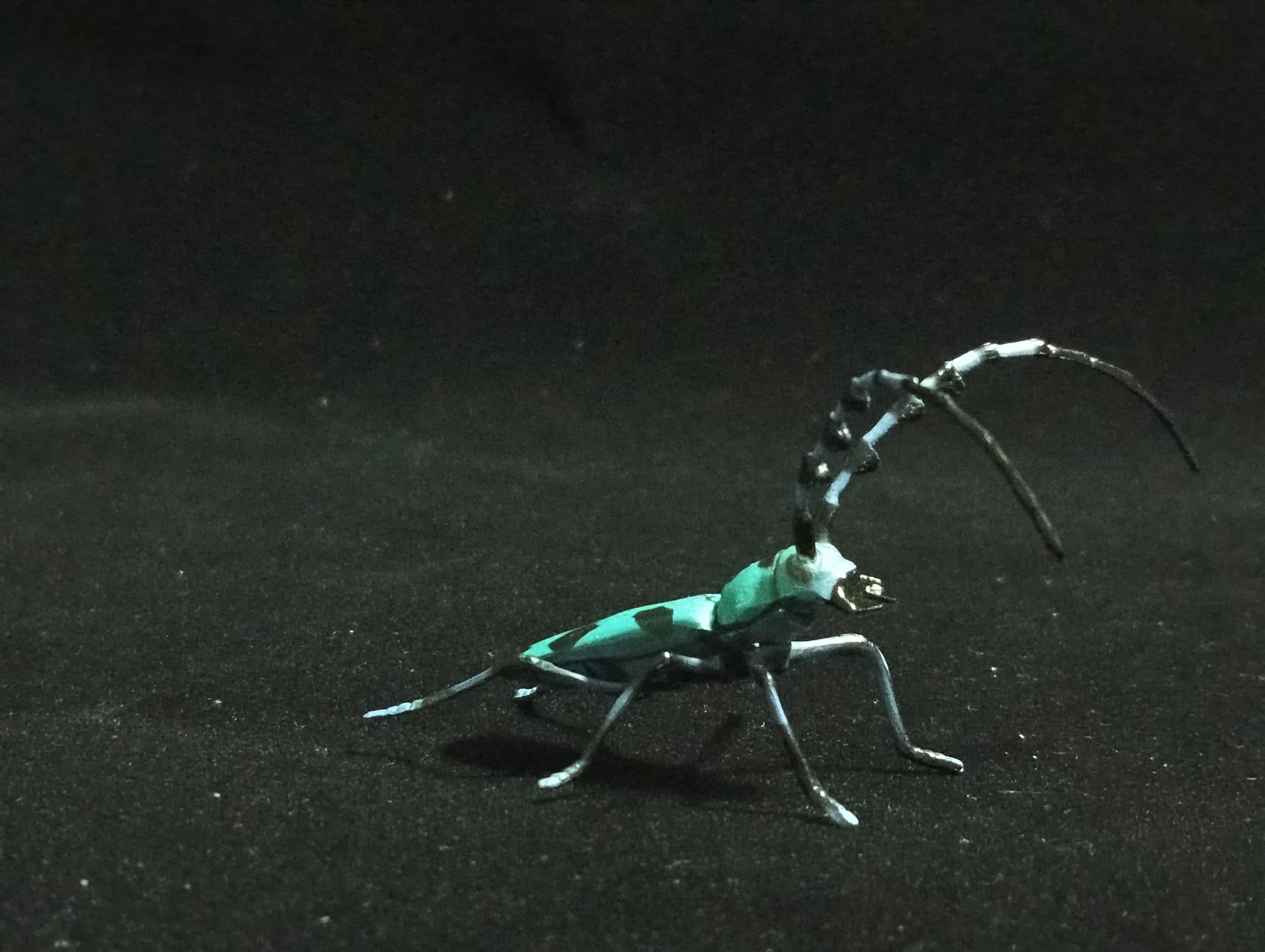 Miniature Blue spotted longhorn beetle Figurine - Furuta