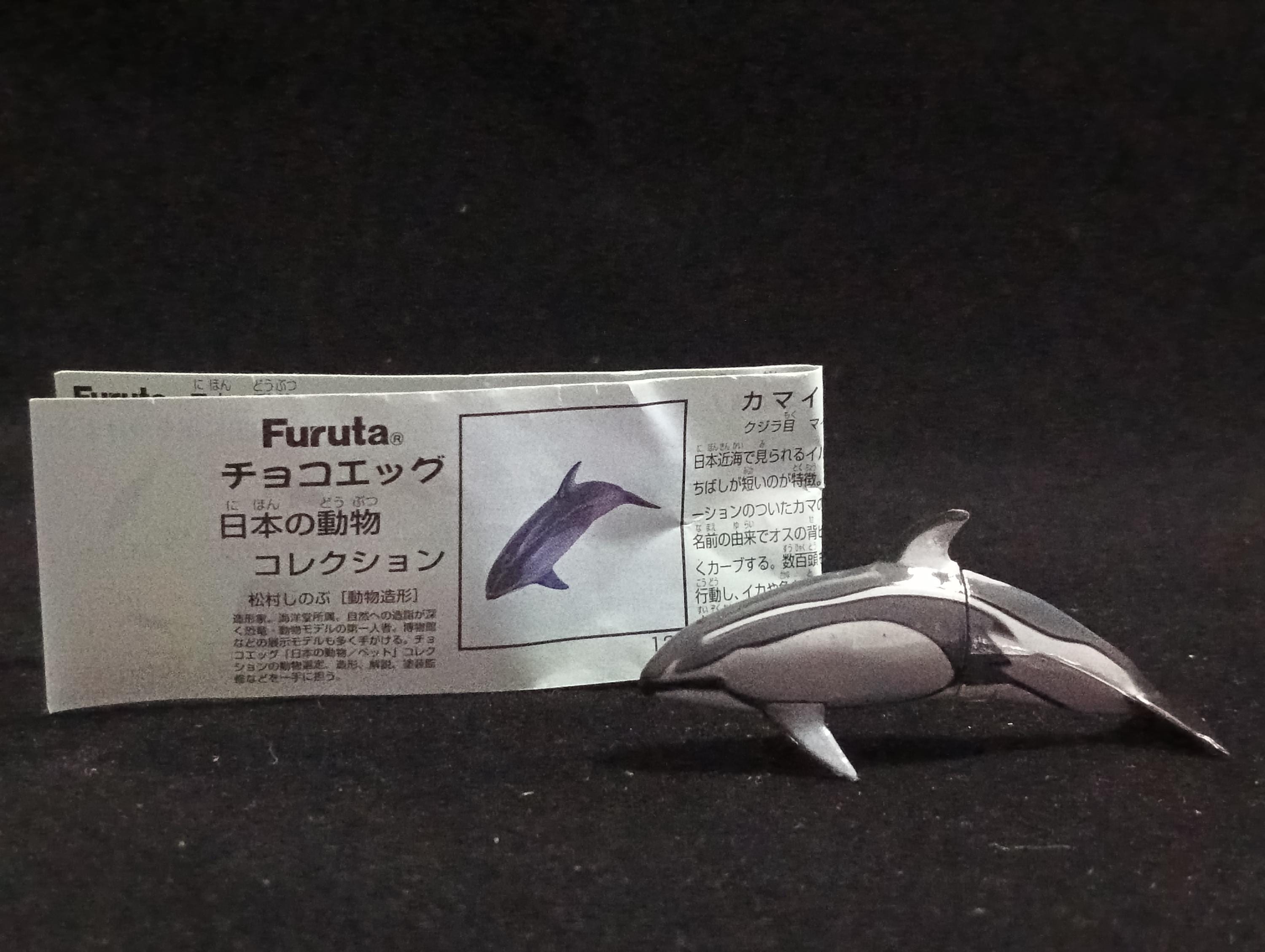 Miniature Pacific White-sided Dolphin Figurine - Furuta