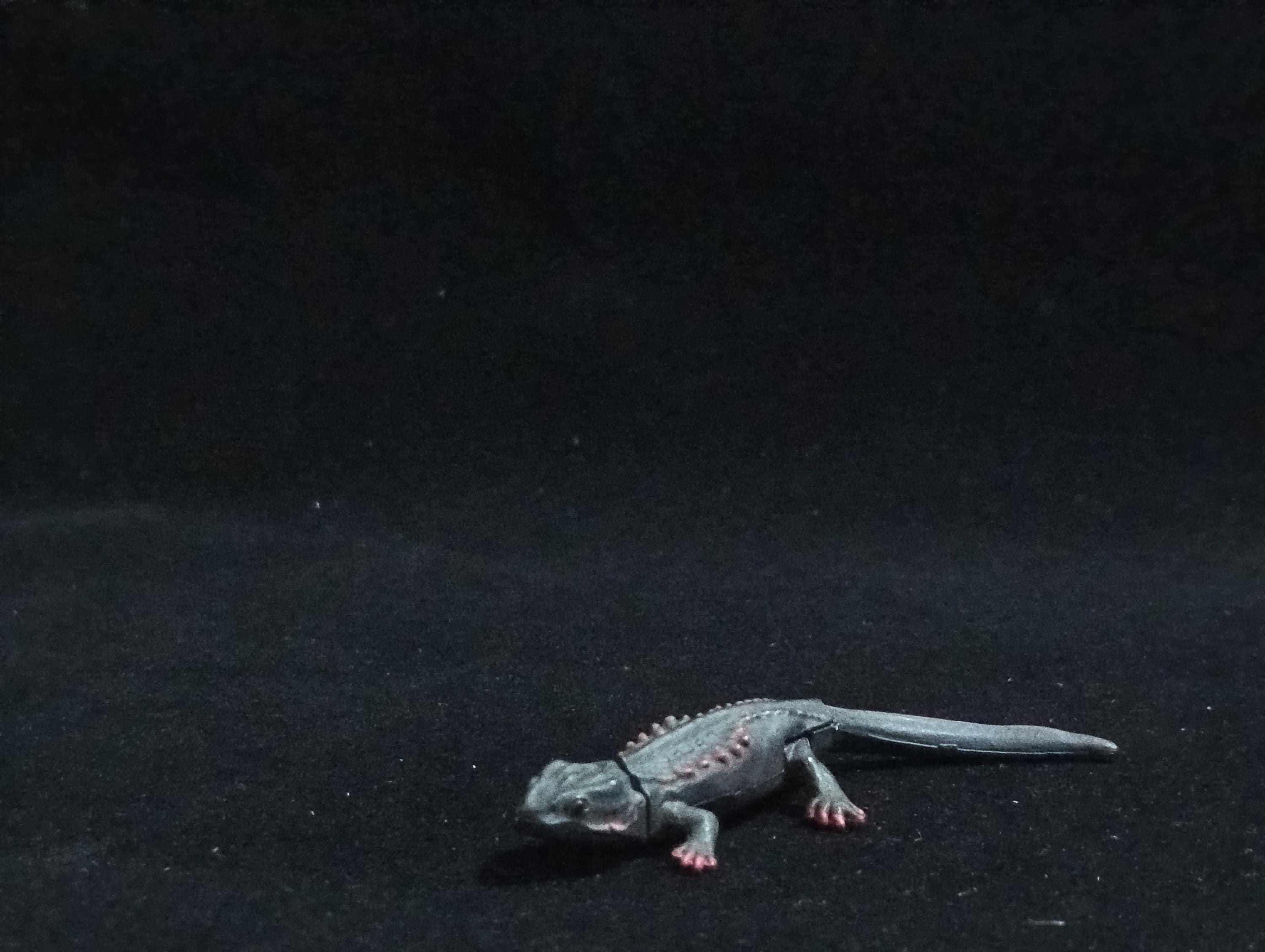 Miniature Newt Figurine - Furuta