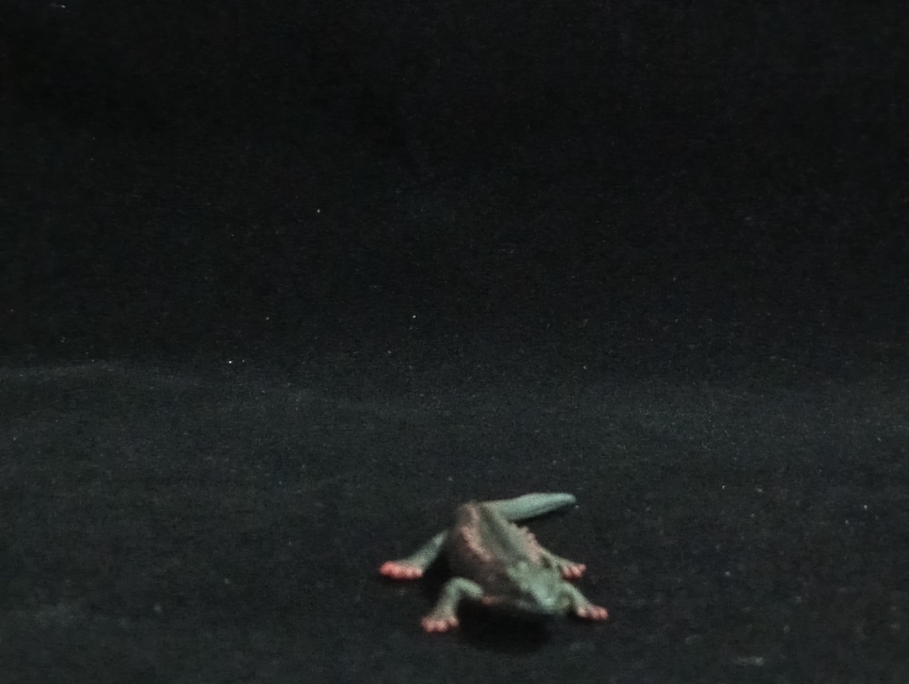 Miniature Newt Figurine - Furuta