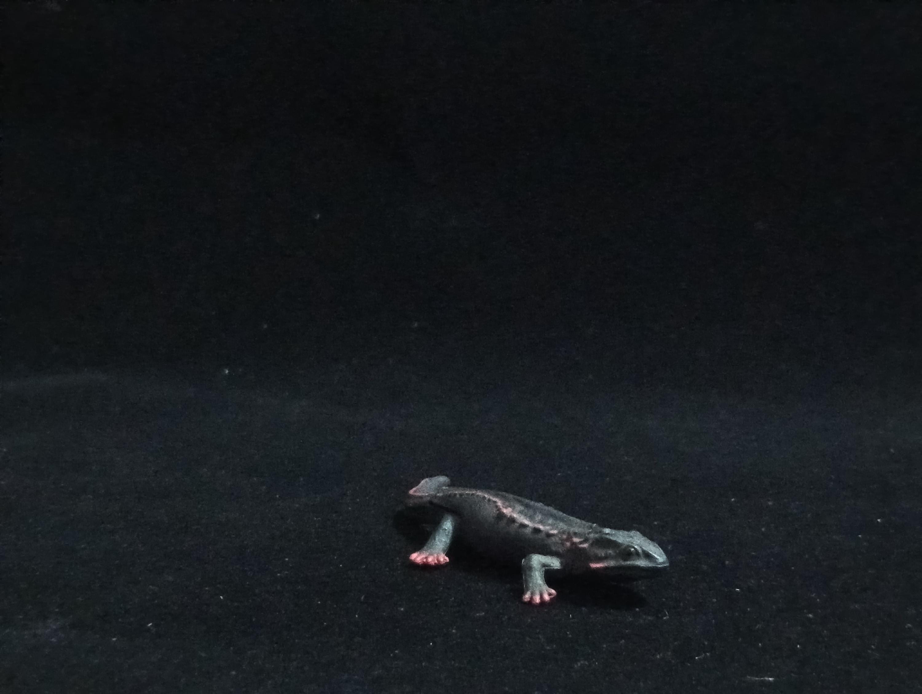 Miniature Newt Figurine - Furuta