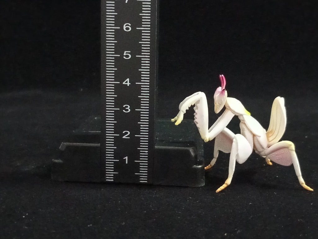 Miniature Hymenopus coronatus Figurine - Furuta