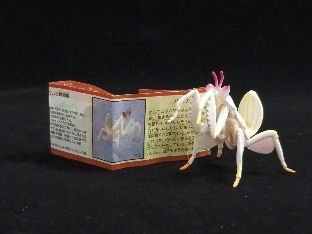 Miniature Hymenopus coronatus Figurine - Furuta
