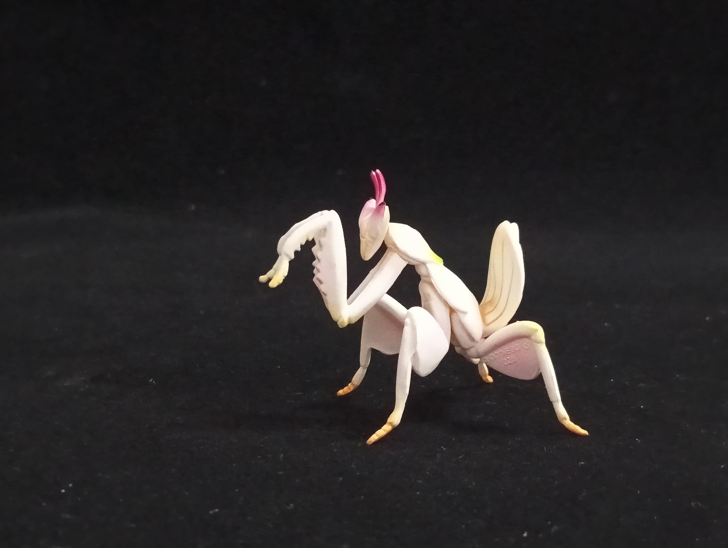Miniature Hymenopus coronatus Figurine - Furuta