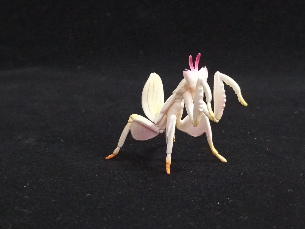 Miniature Hymenopus coronatus Figurine - Furuta
