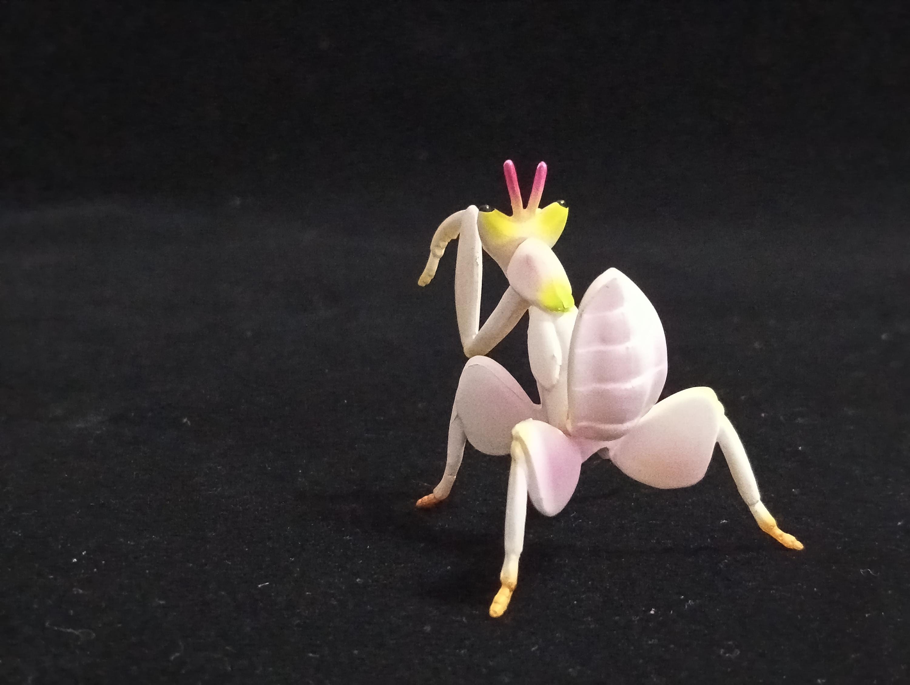 Miniature Hymenopus coronatus Figurine - Furuta