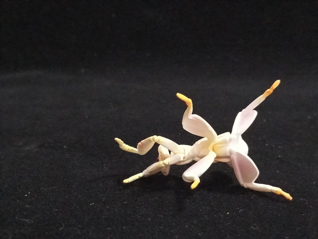 Miniature Hymenopus coronatus Figurine - Furuta