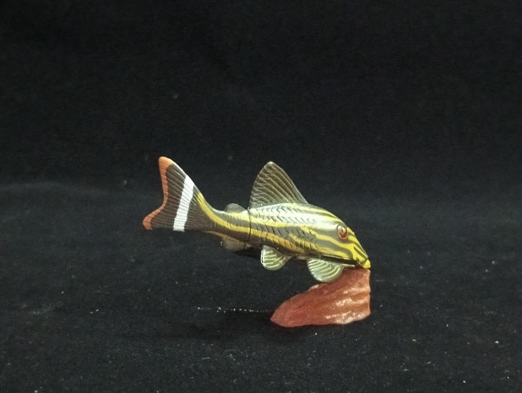 Miniature Chorydoras Sucker Fish Figurine - Furuta