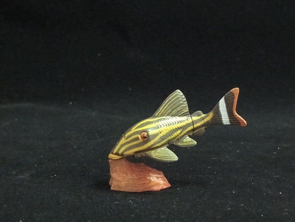 Miniature Chorydoras Sucker Fish Figurine - Furuta