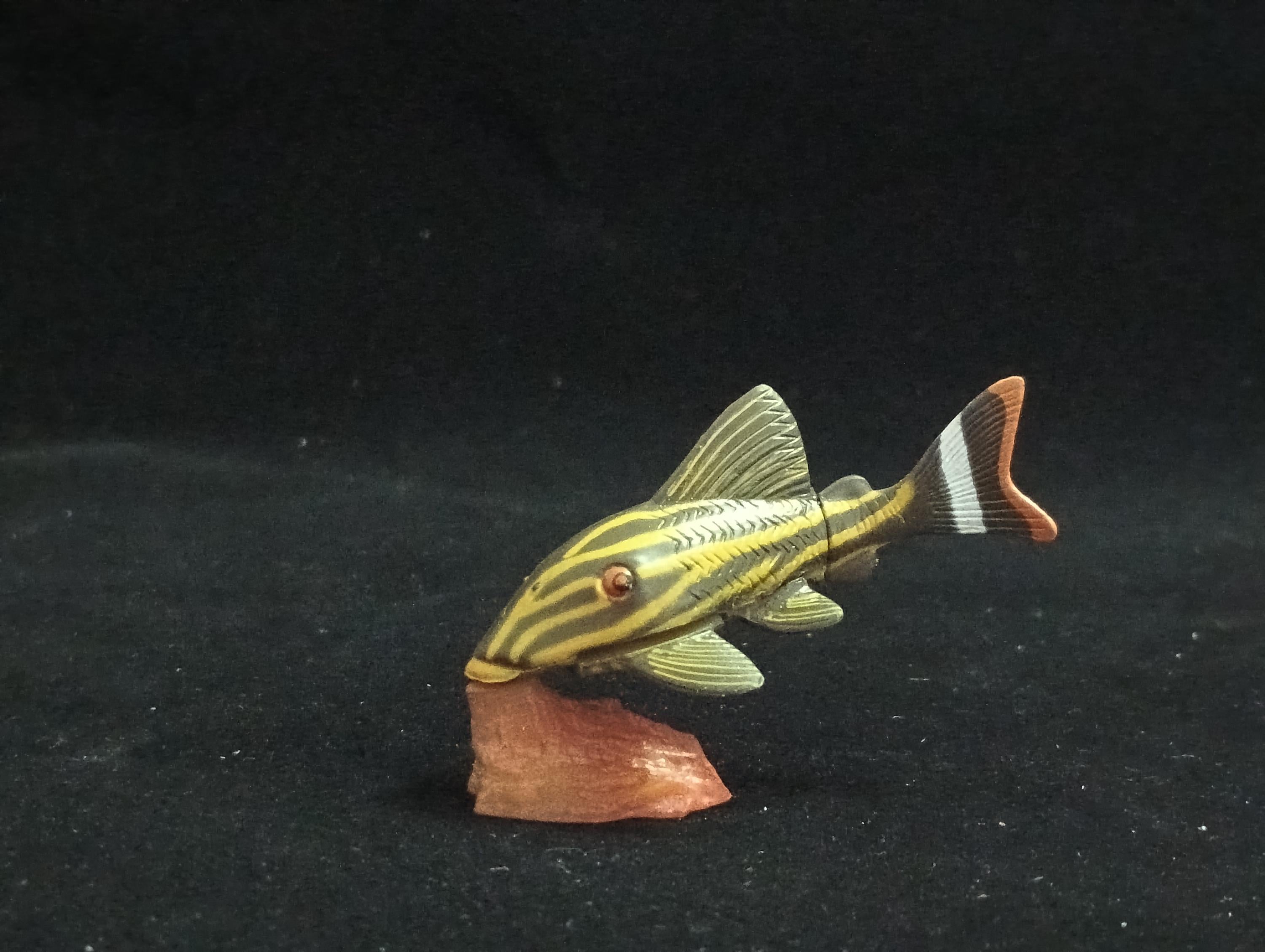 Miniature Chorydoras Sucker Fish Figurine - Furuta