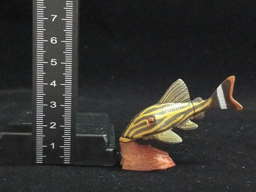 Miniature Chorydoras Sucker Fish Figurine - Furuta