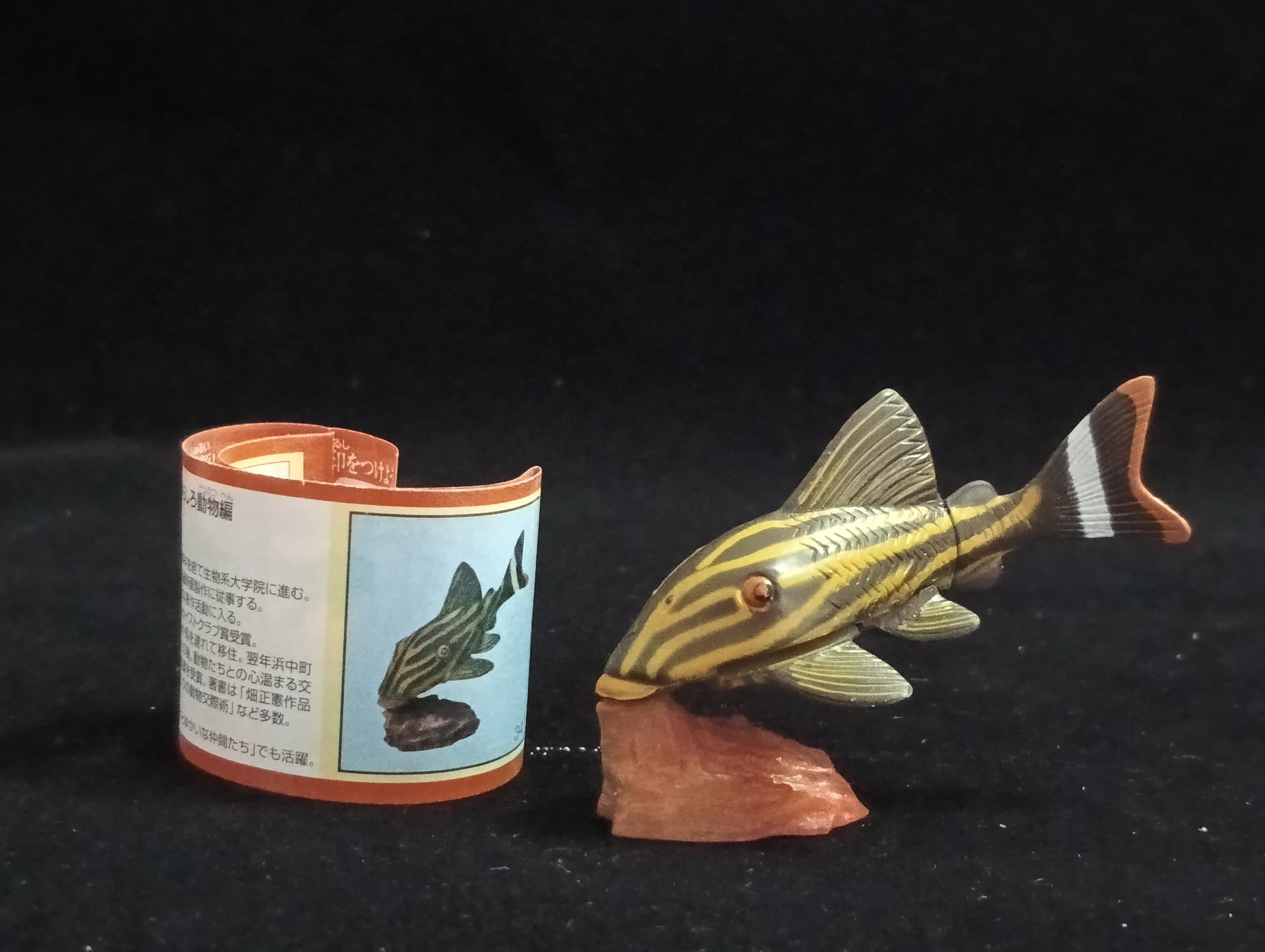 Miniature Chorydoras Sucker Fish Figurine - Furuta