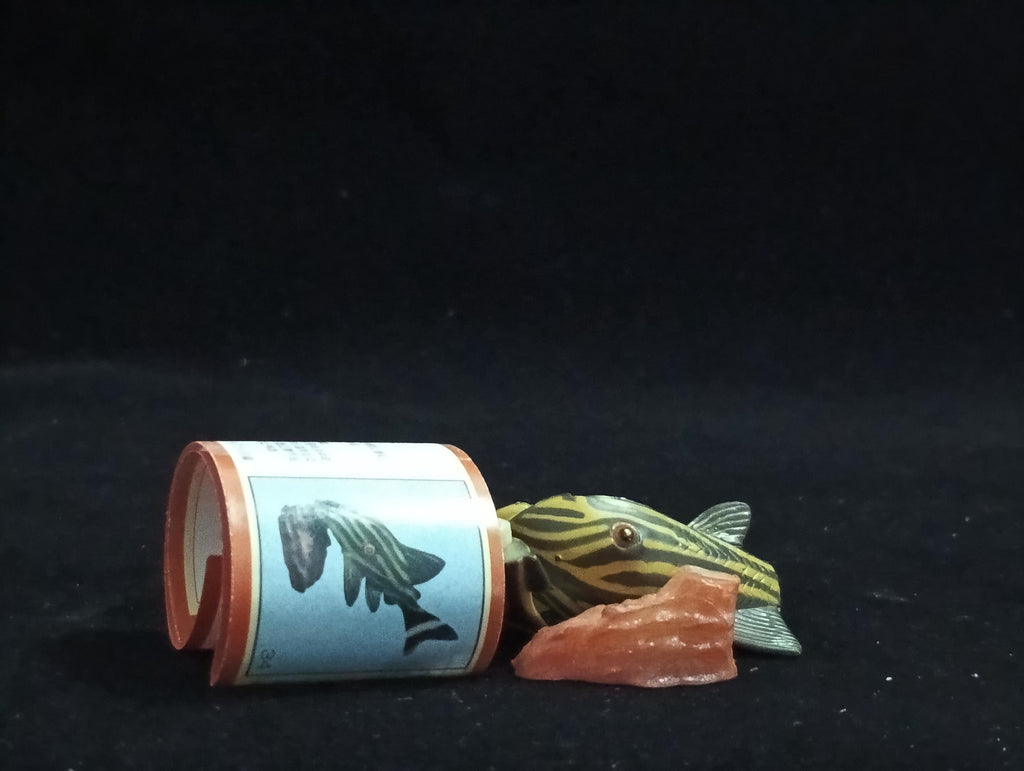 Miniature Chorydoras Sucker Fish Figurine - Furuta