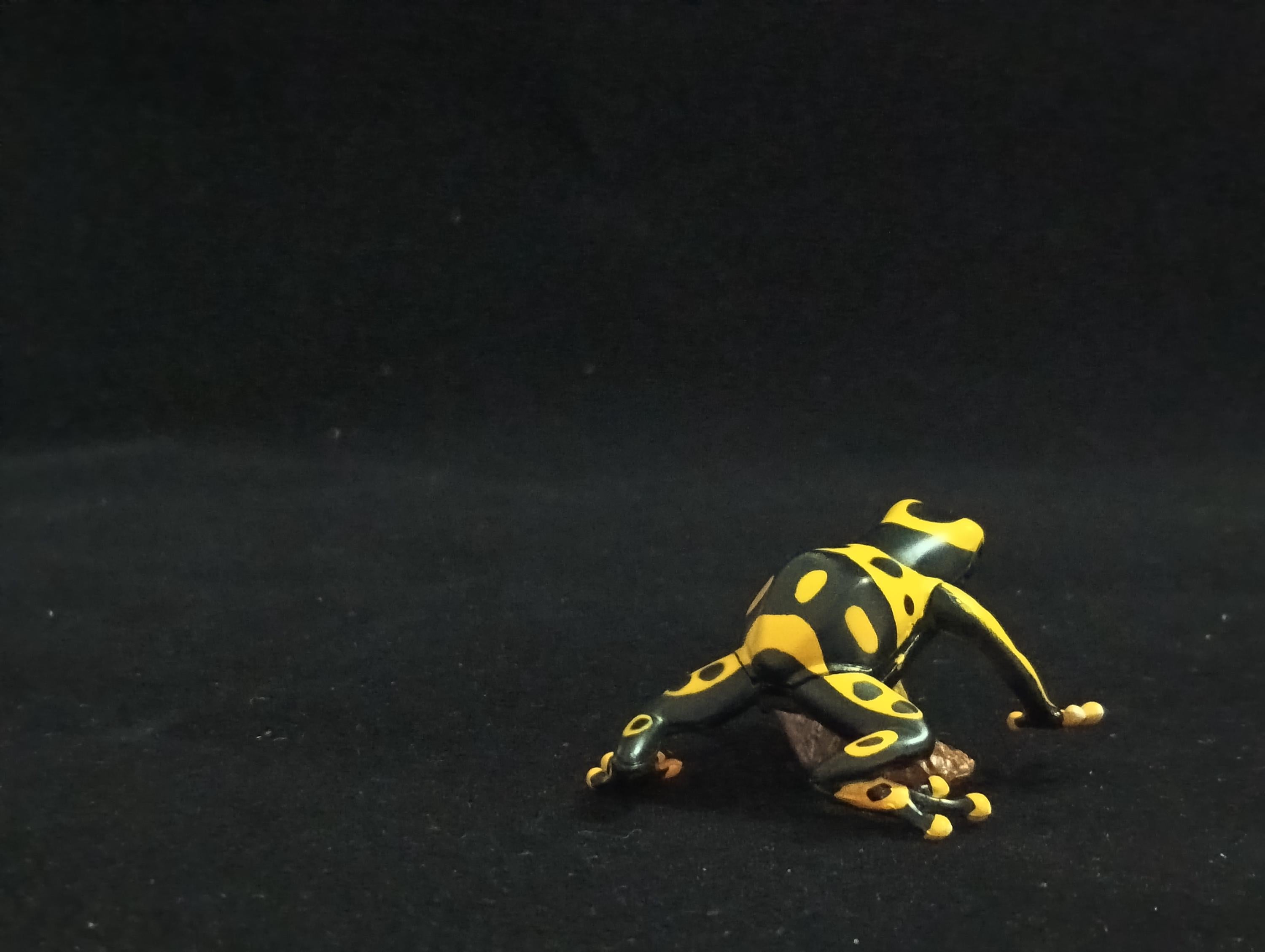 Miniature Poison Dart Frog Figurine - Furuta