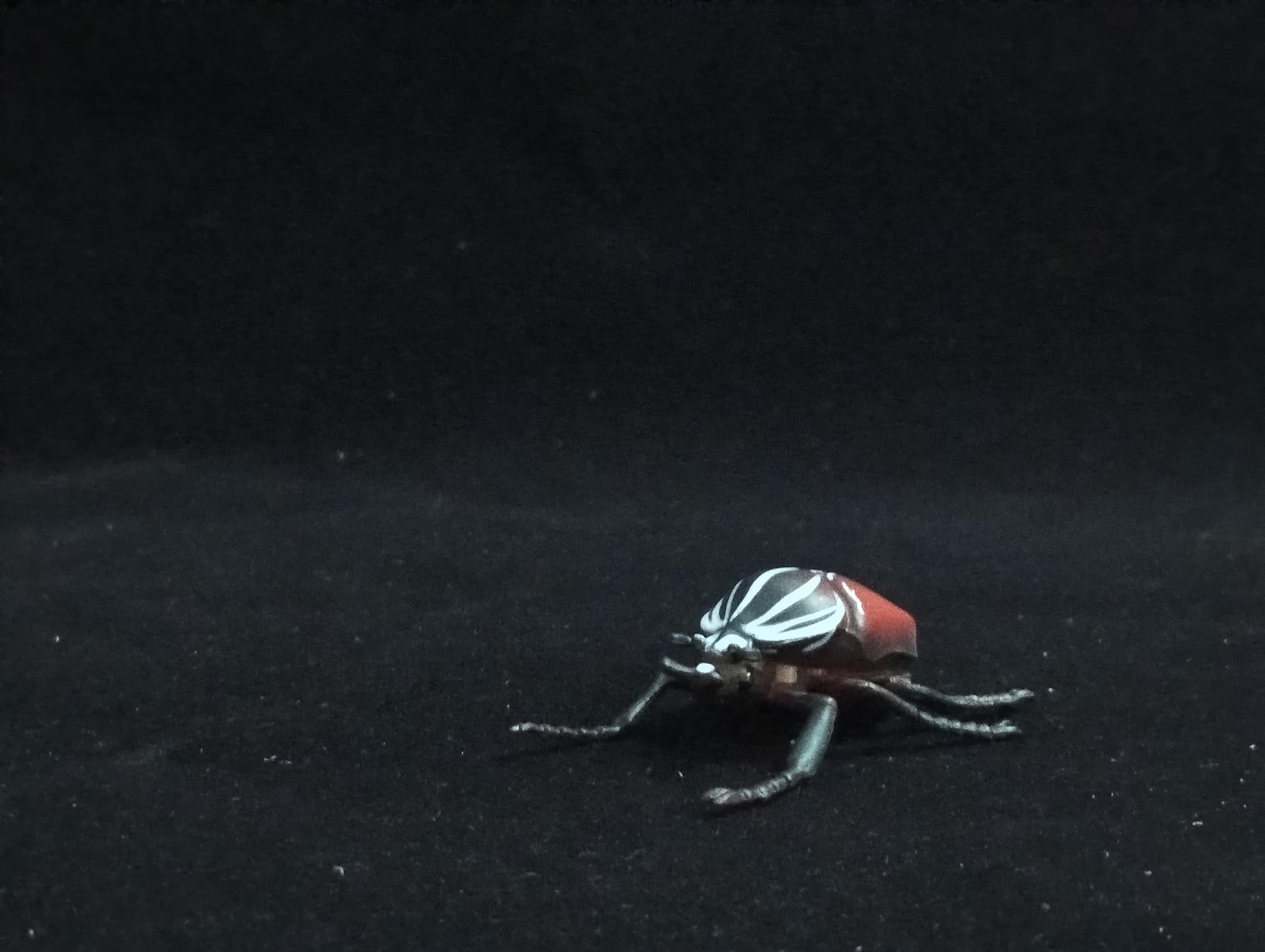 Miniature Goliath Beetle Figurine - Furuta
