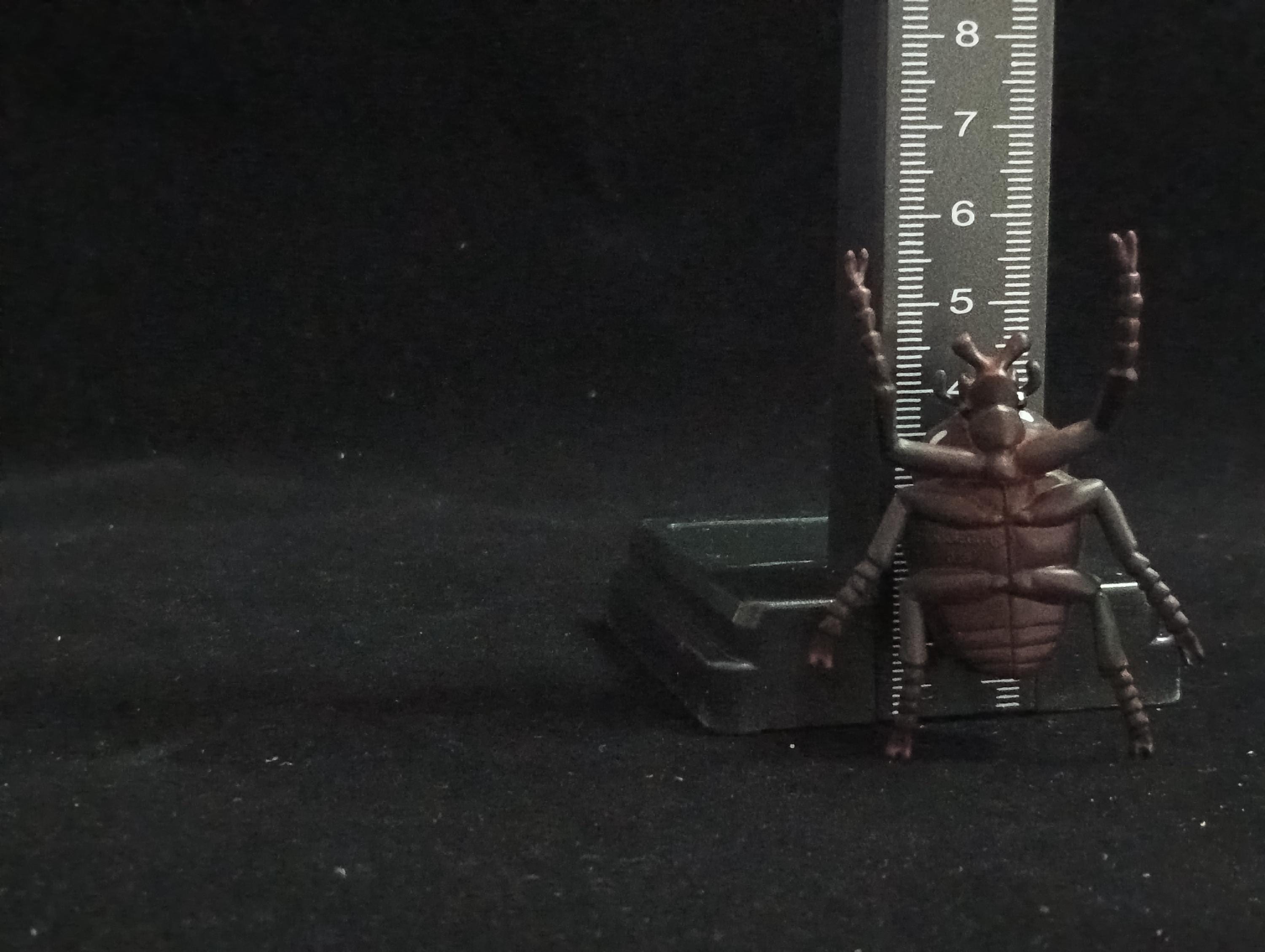 Miniature Goliath Beetle Figurine - Furuta