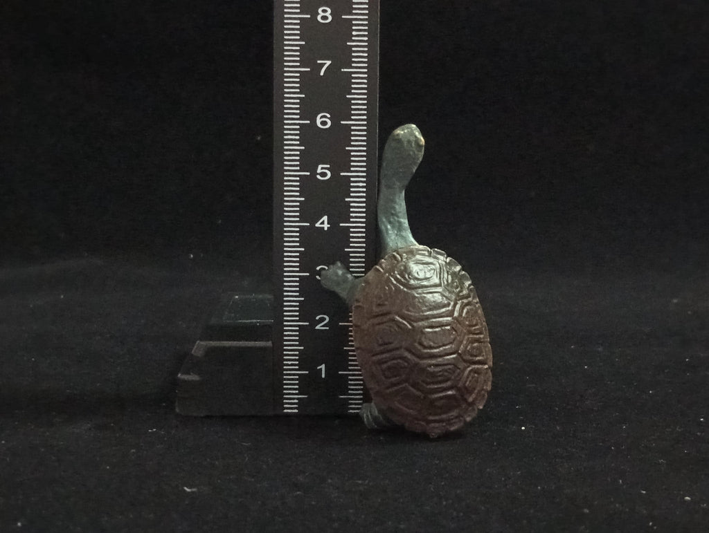 Miniature Long-necked turtle Figurine - Furuta