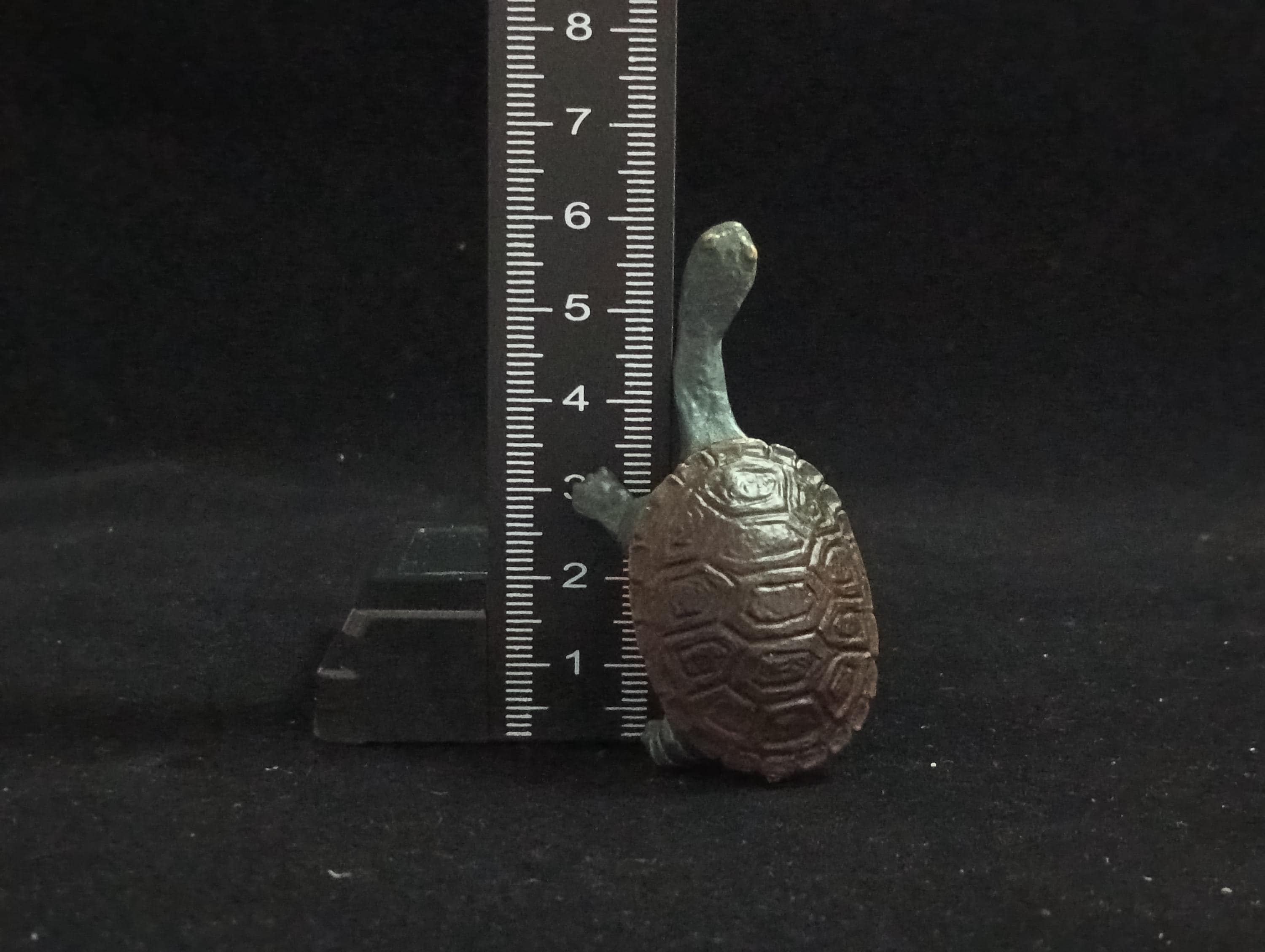 Miniature Long-necked turtle Figurine - Furuta