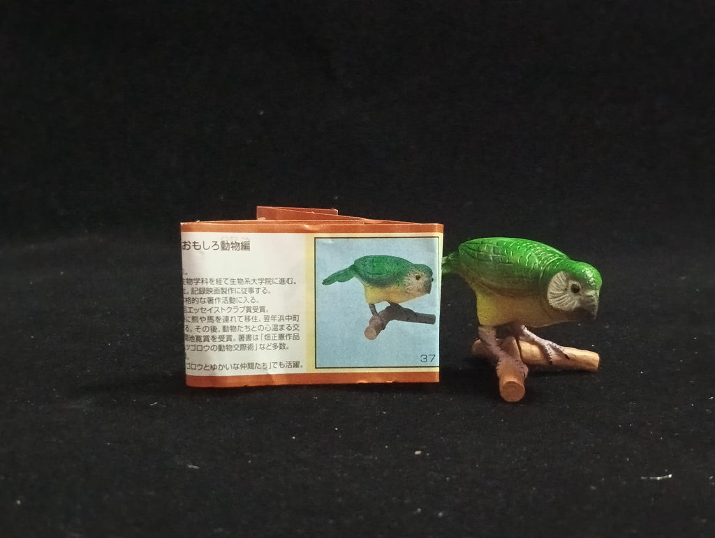 Miniature Senegal Parrot Figurine - Furuta