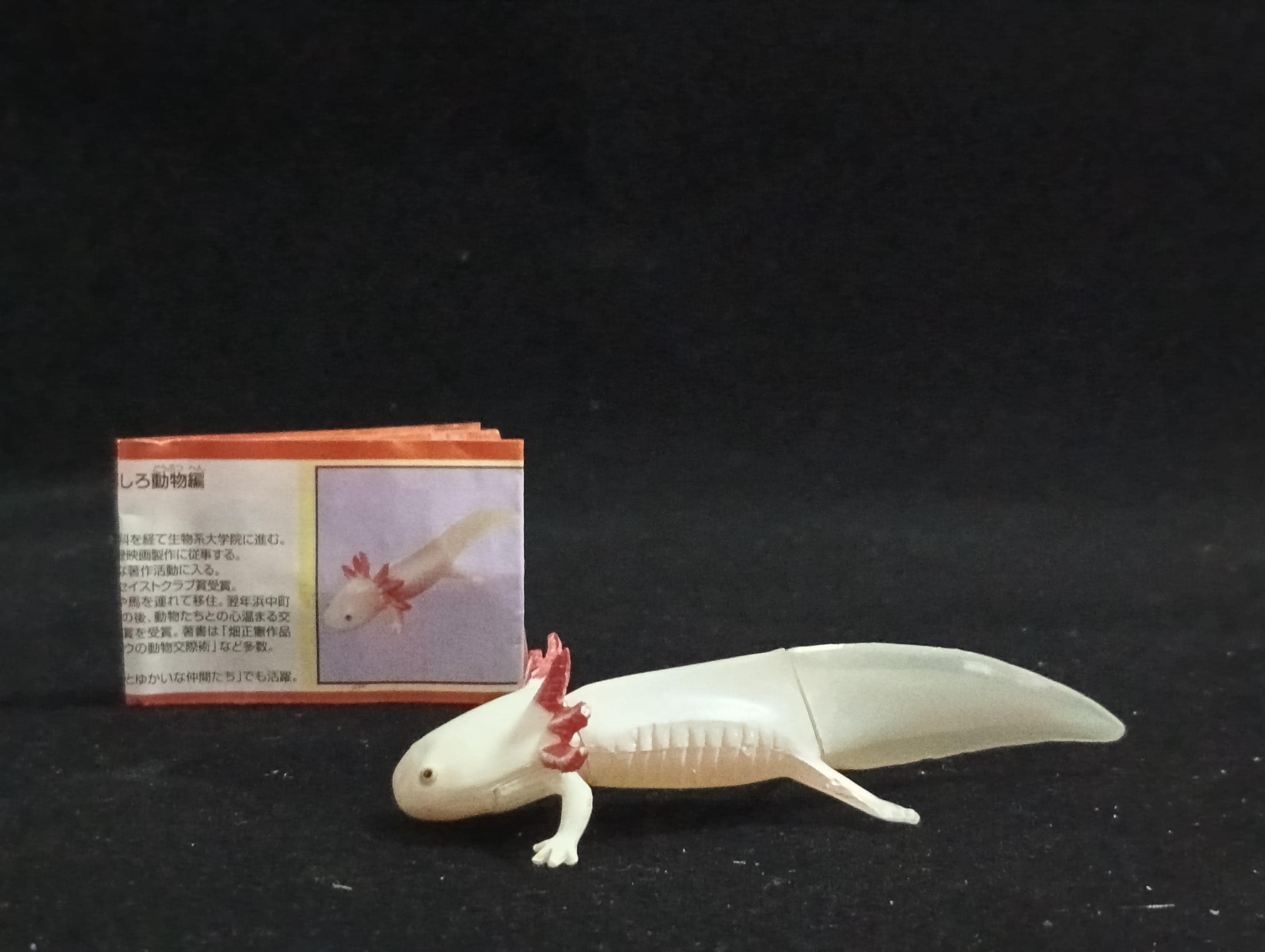 Miniature  Axolotl Salamander Figurine - Furuta Secret Item