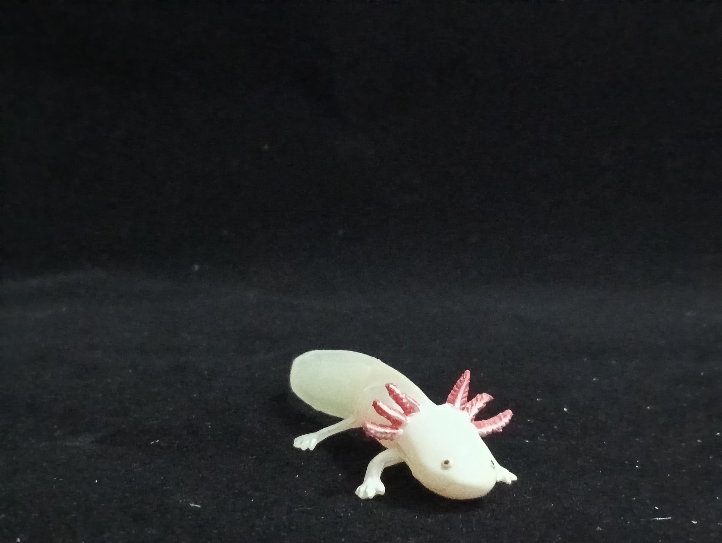 Miniature  Axolotl Salamander Figurine - Furuta Secret Item