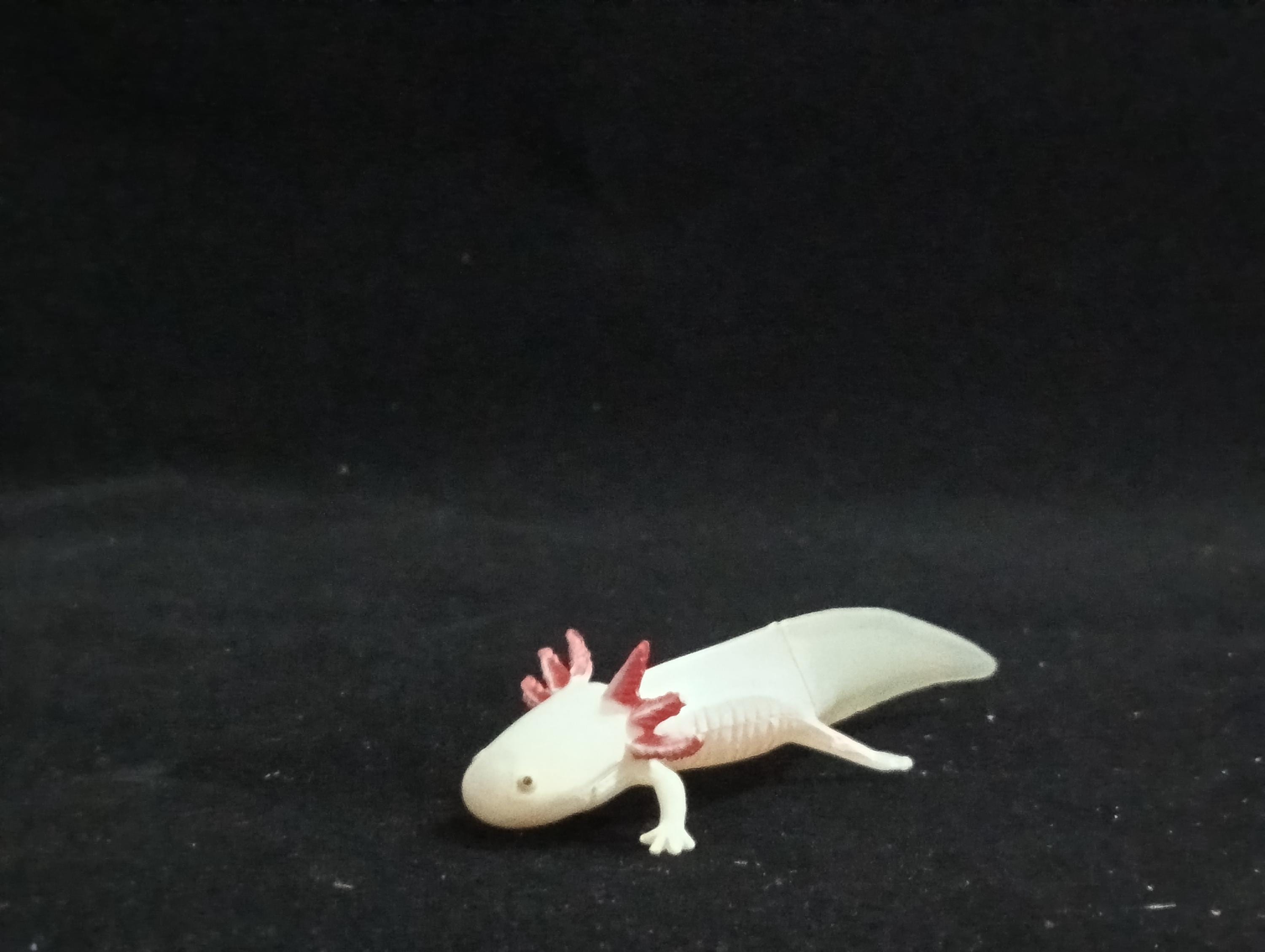 Miniature  Axolotl Salamander Figurine - Furuta Secret Item