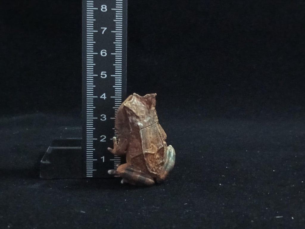 Miniature Three-horned frog Figurine - Furuta