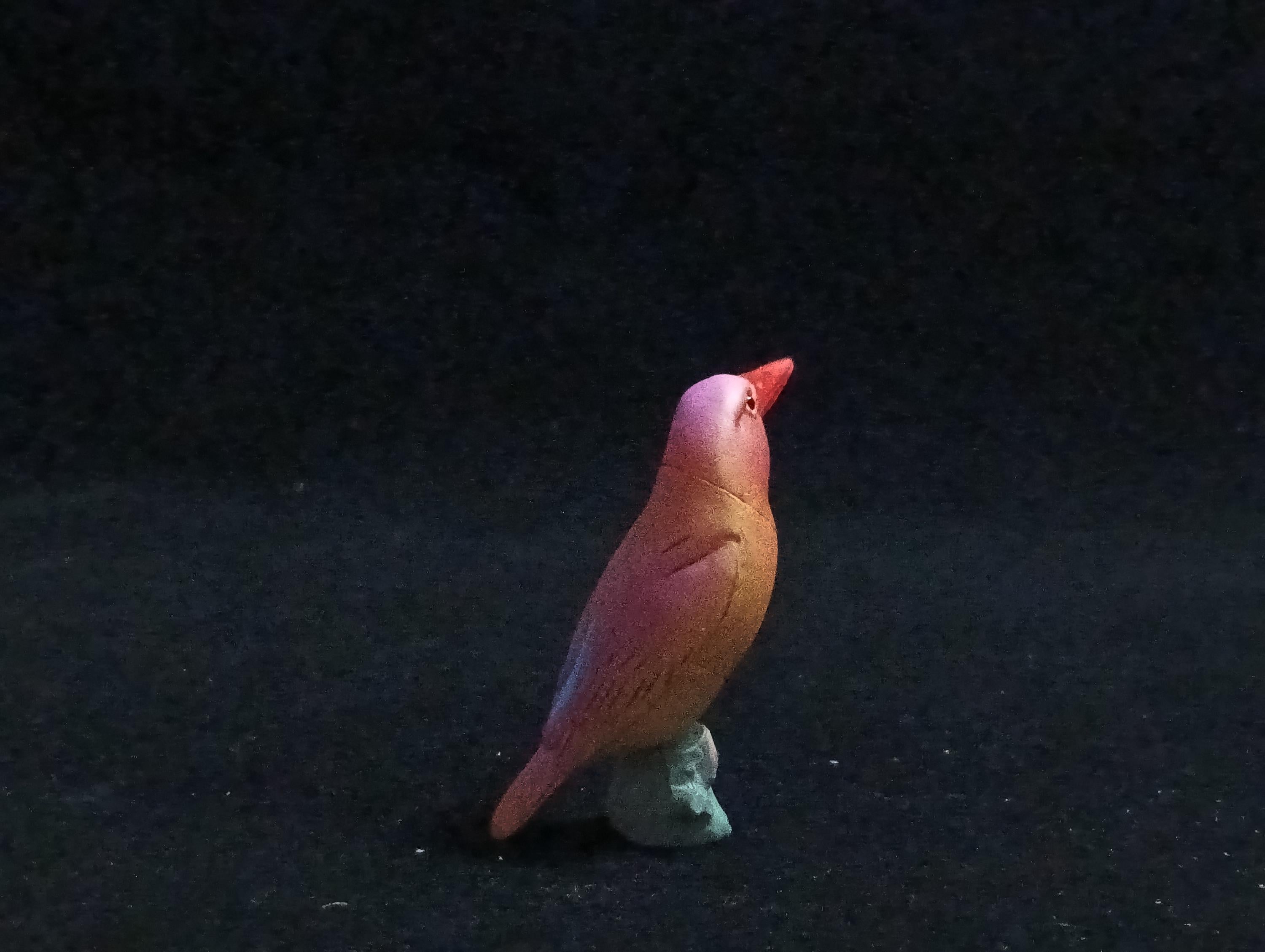 Miniature Bird Ruddy Kingfisher Figurine - Furuta