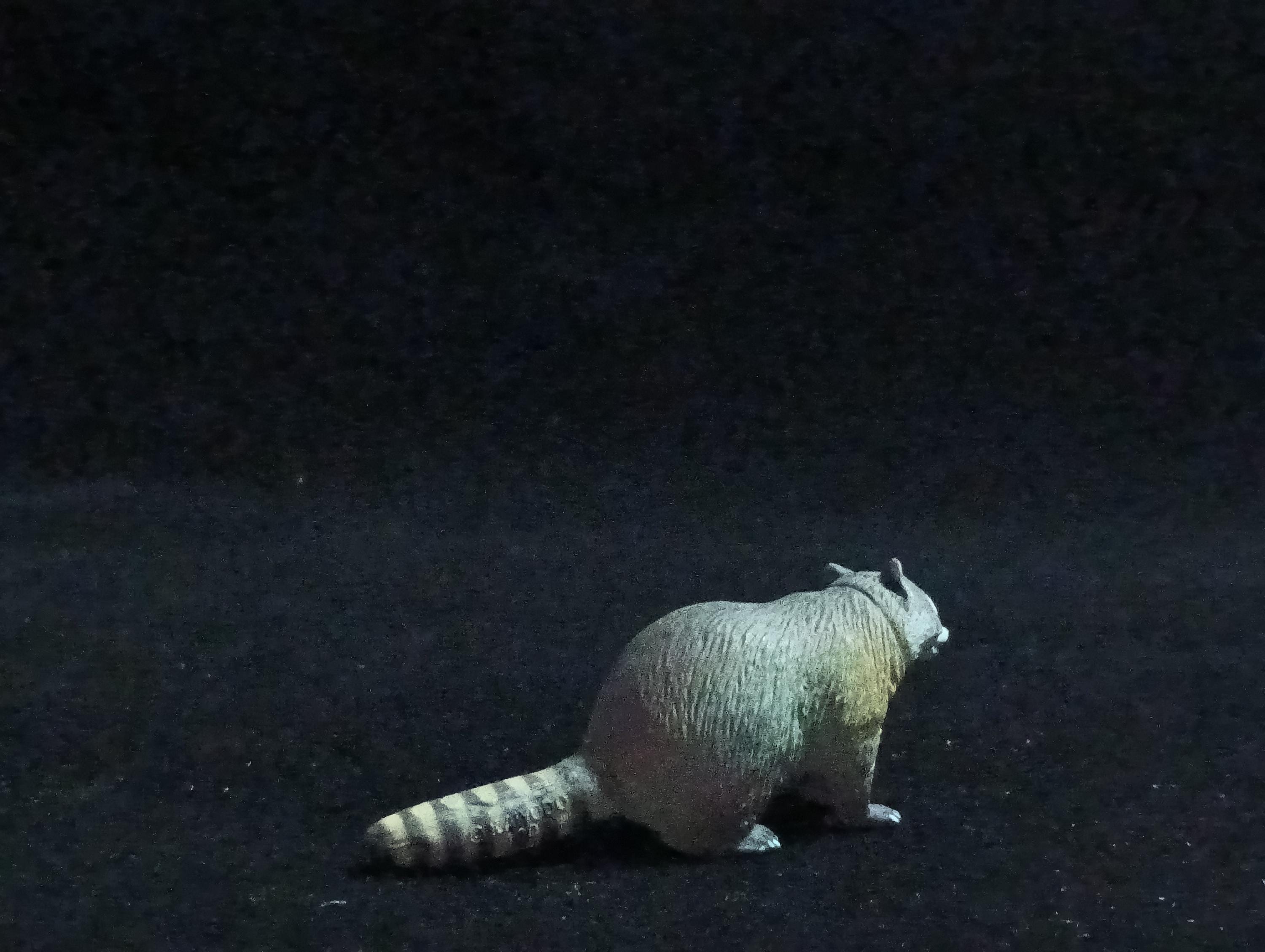 Miniature Enkuma Figurine - Furuta