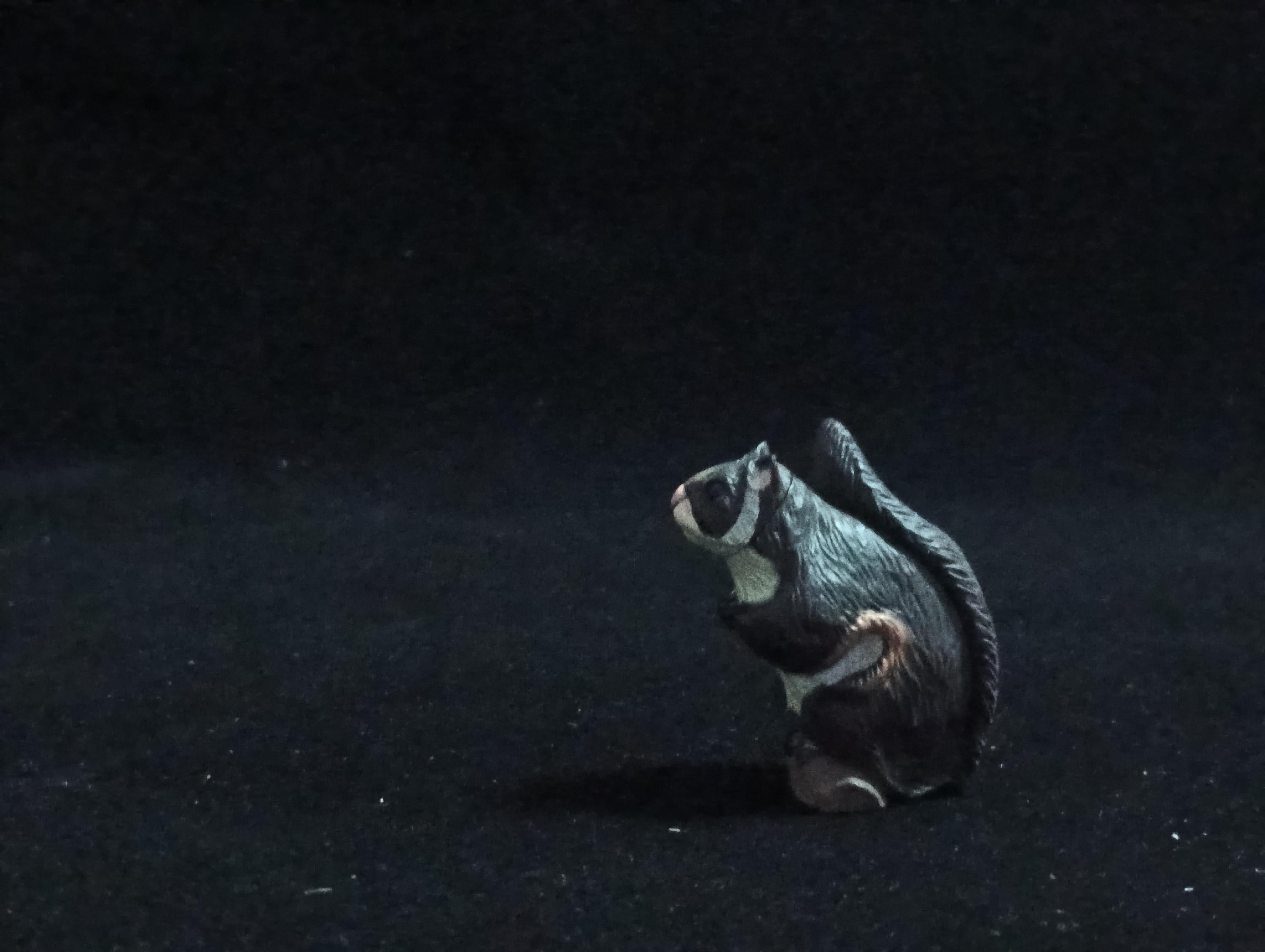 Miniature Flying squirrel Figurine - Furuta