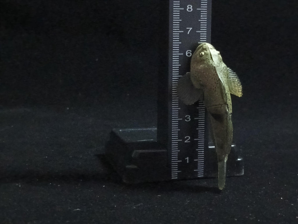 Miniature FOURSPINE SCULPIN fish Figurine - Furuta