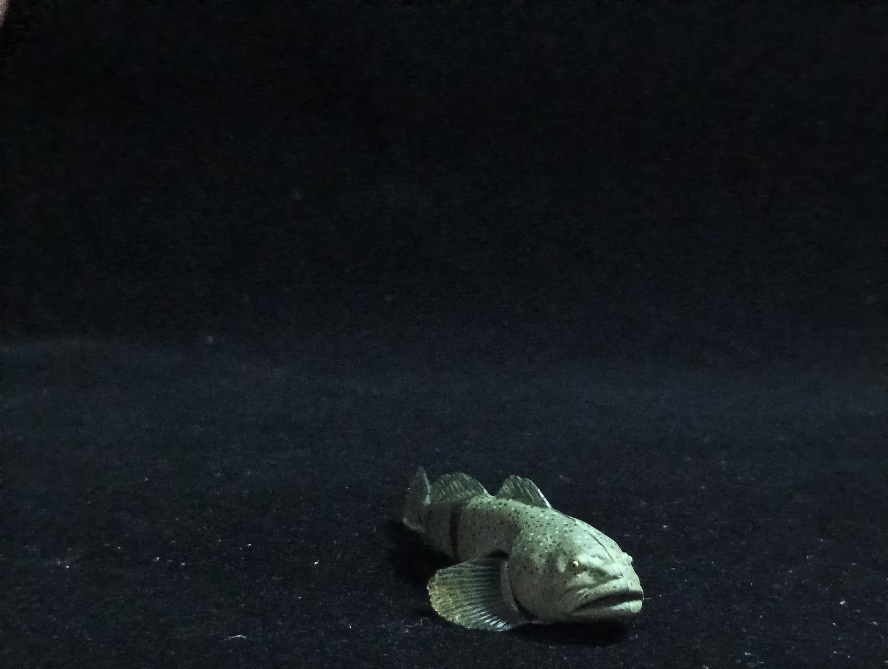Miniature FOURSPINE SCULPIN fish Figurine - Furuta
