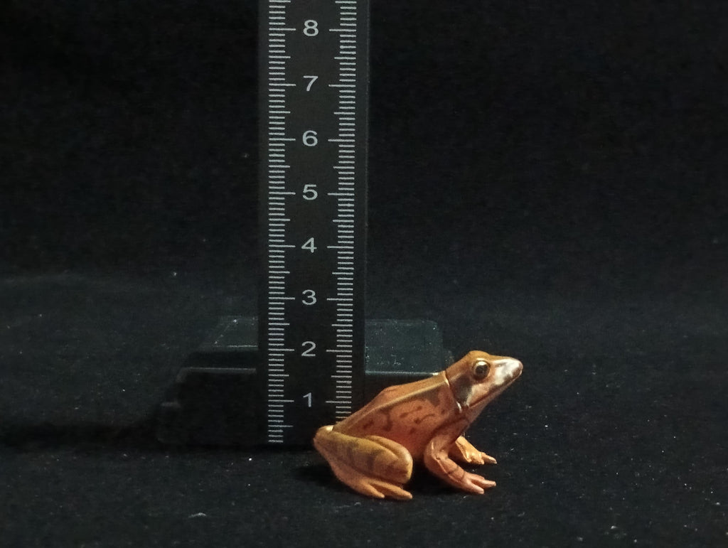 Miniature Miyako Toad Figurine - Furuta
