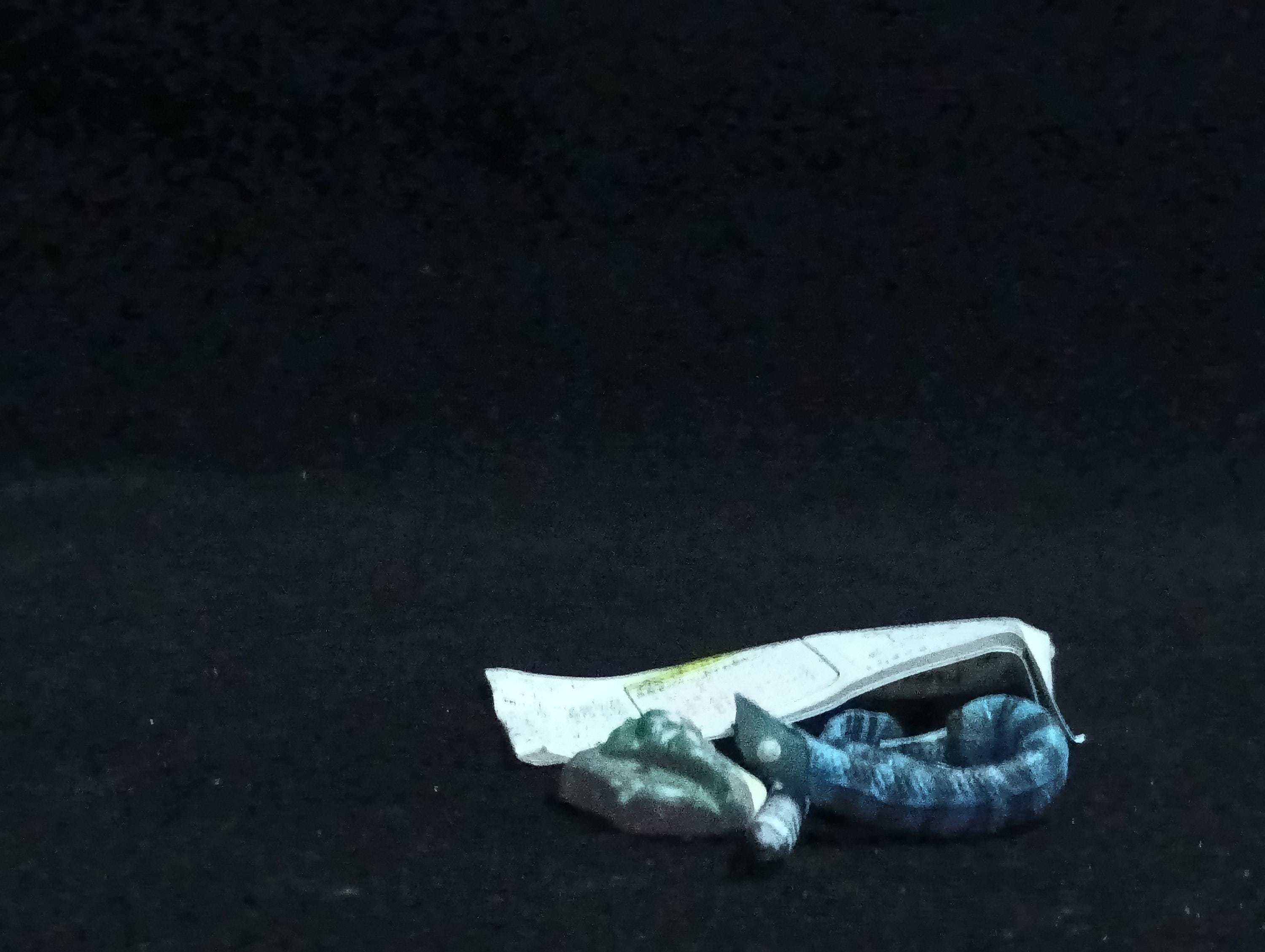 Miniature Erabu sea snake Figurine - Furuta