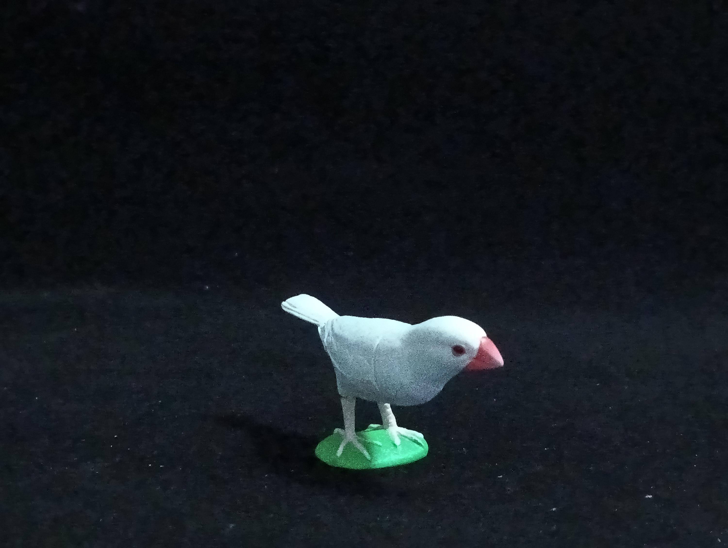 Miniature java sparrow white Figurine - Furuta