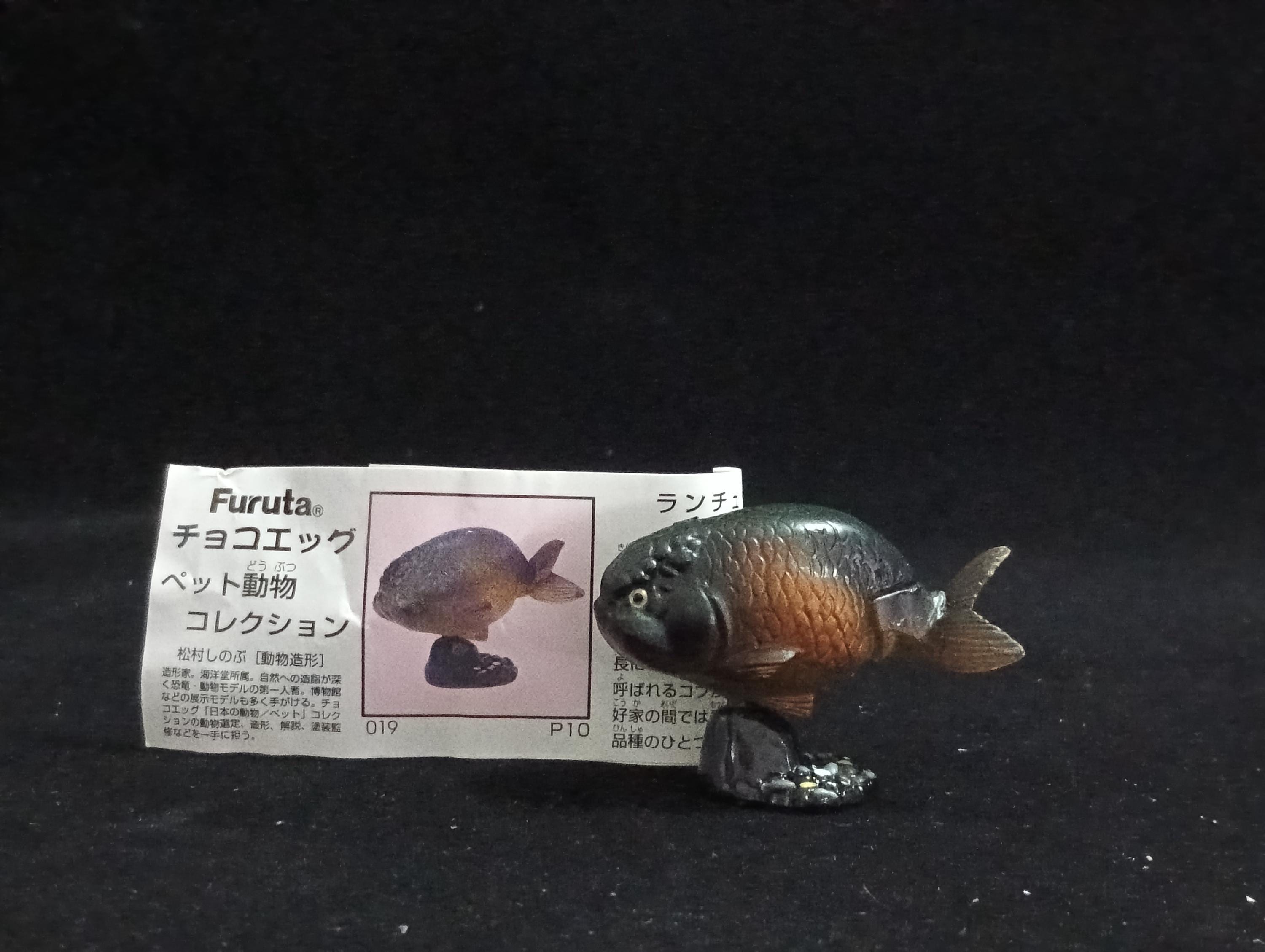 Miniature ranchu goldfish Figurine - Furuta