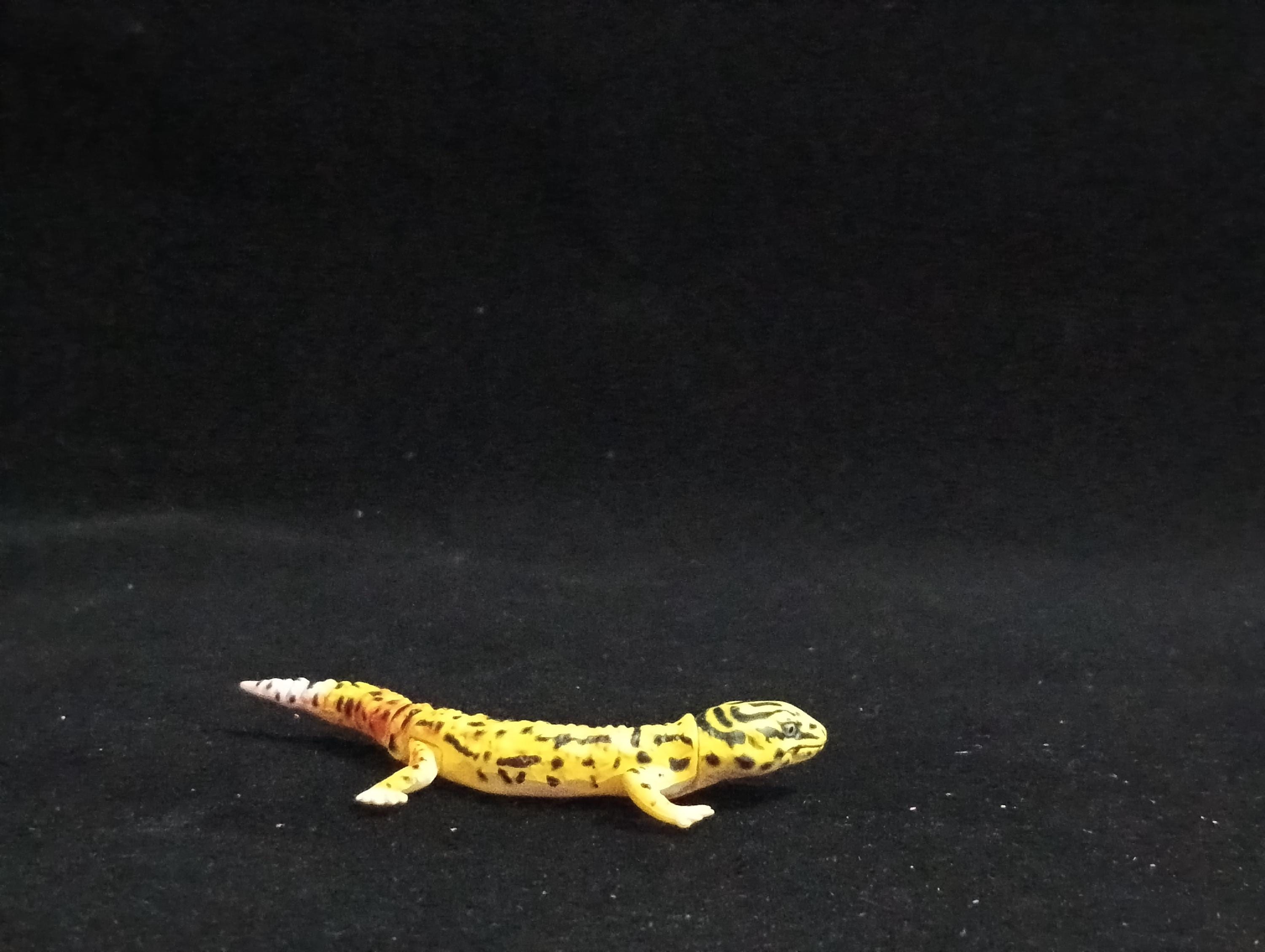 Miniature Leopard Gecko Figurine - Furuta