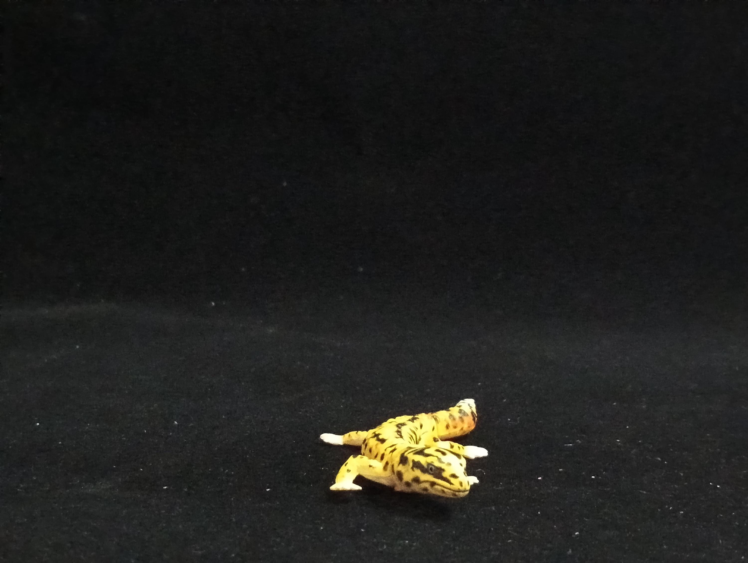 Miniature Leopard Gecko Figurine - Furuta